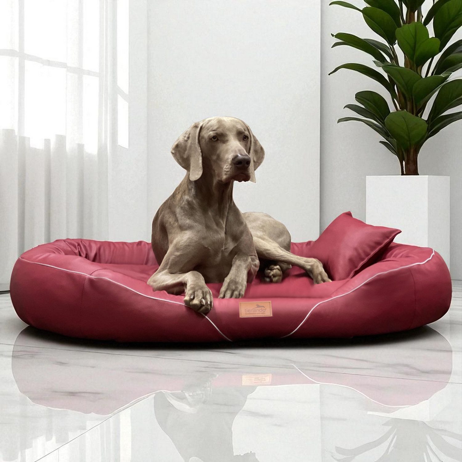 tierlando® Tierbett Orthopädisches Hundebett TIFFANY EASY günstig online kaufen