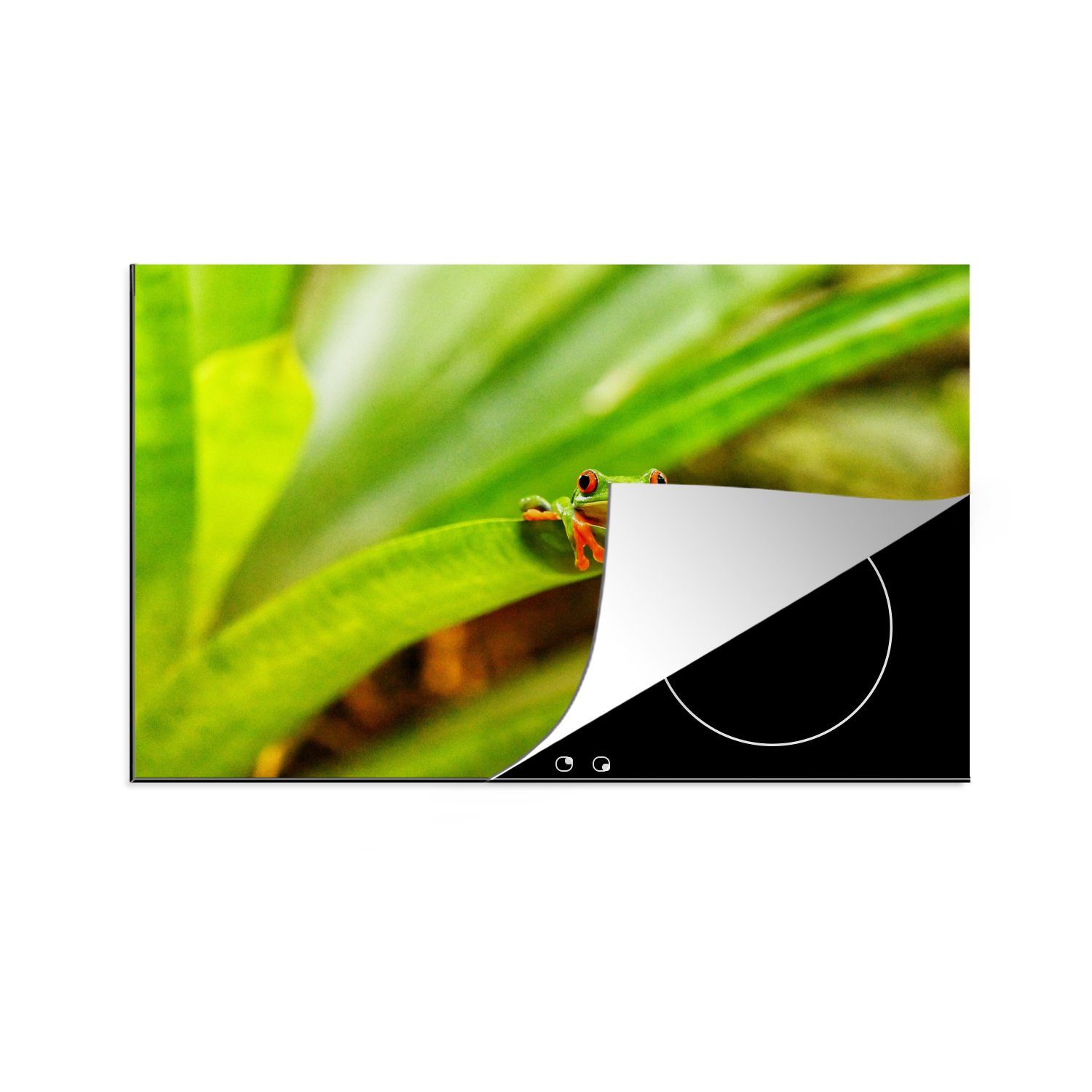 MuchoWow Herdblende-/Abdeckplatte Roter Frosch auf Blatt, Vinyl, (1 tlg), 81x52 cm, Induktionskochfeld Schutz für die küche, Ceranfeldabdeckung