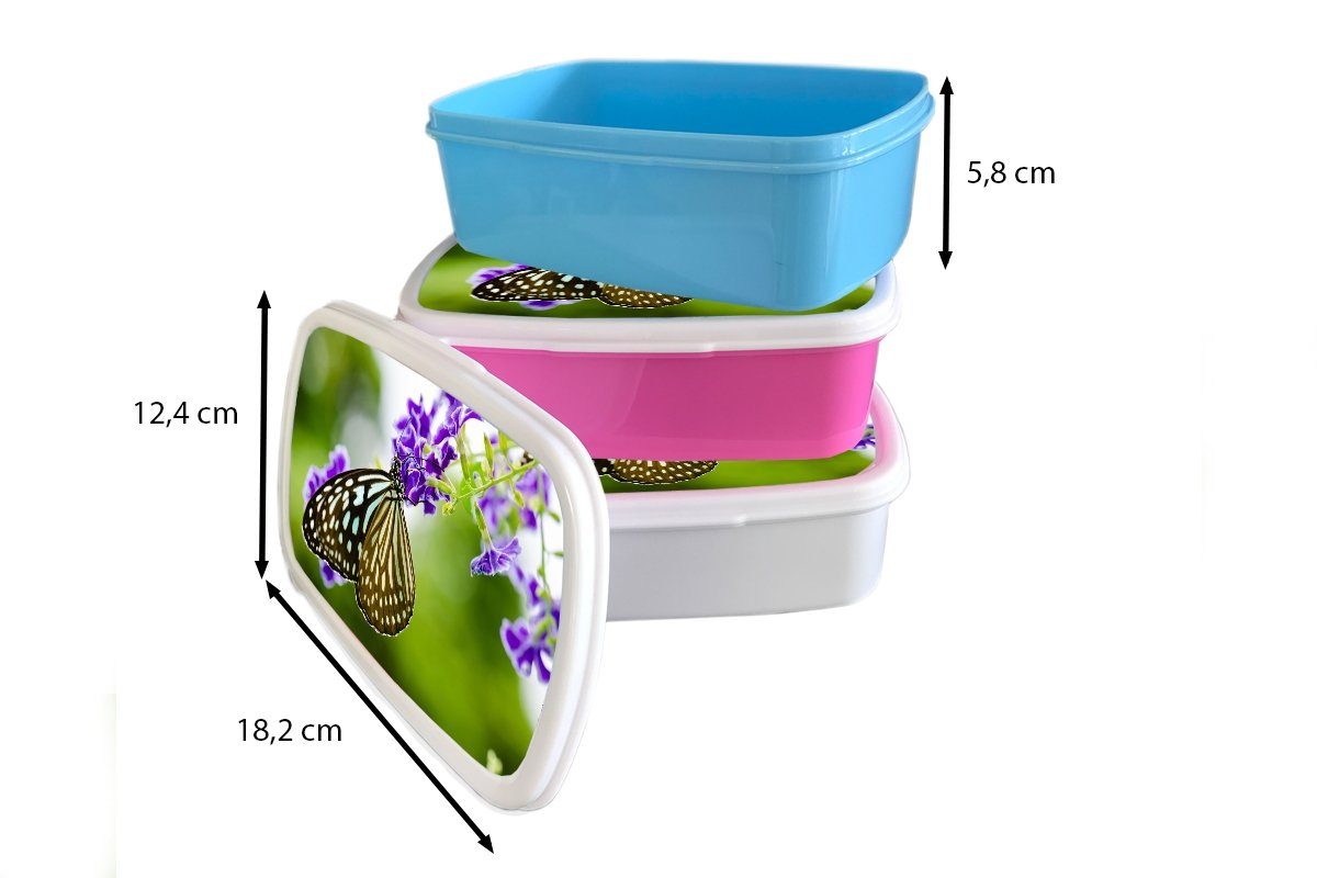 Kinder Lavendel Botanisch, - Brotbox - Erwachsene, Schmetterling (2-tlg), Kunststoff, für Jungs weiß für Brotdose, Lunchbox Mädchen und und MuchoWow