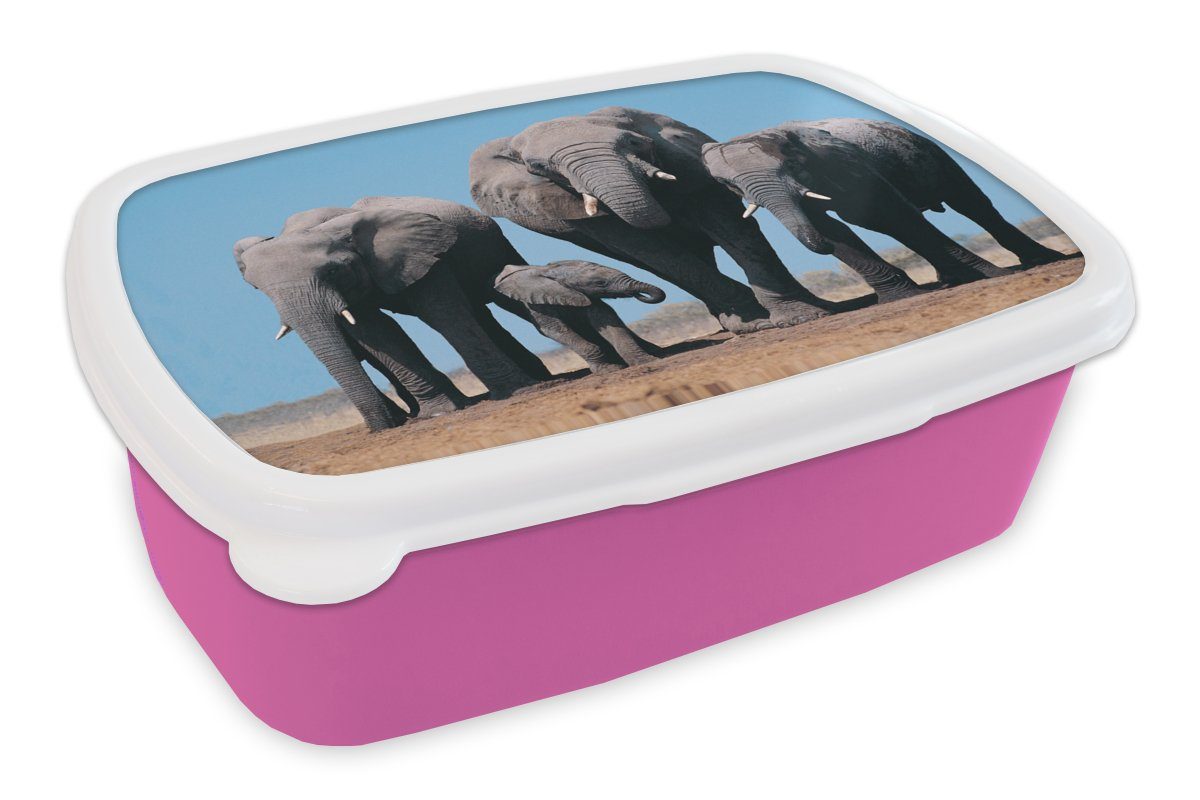 MuchoWow Lunchbox Elefant - Prärie - Tiere - Natur, Kunststoff, (2-tlg), Brotbox für Erwachsene, Brotdose Kinder, Snackbox, Mädchen, Kunststoff rosa