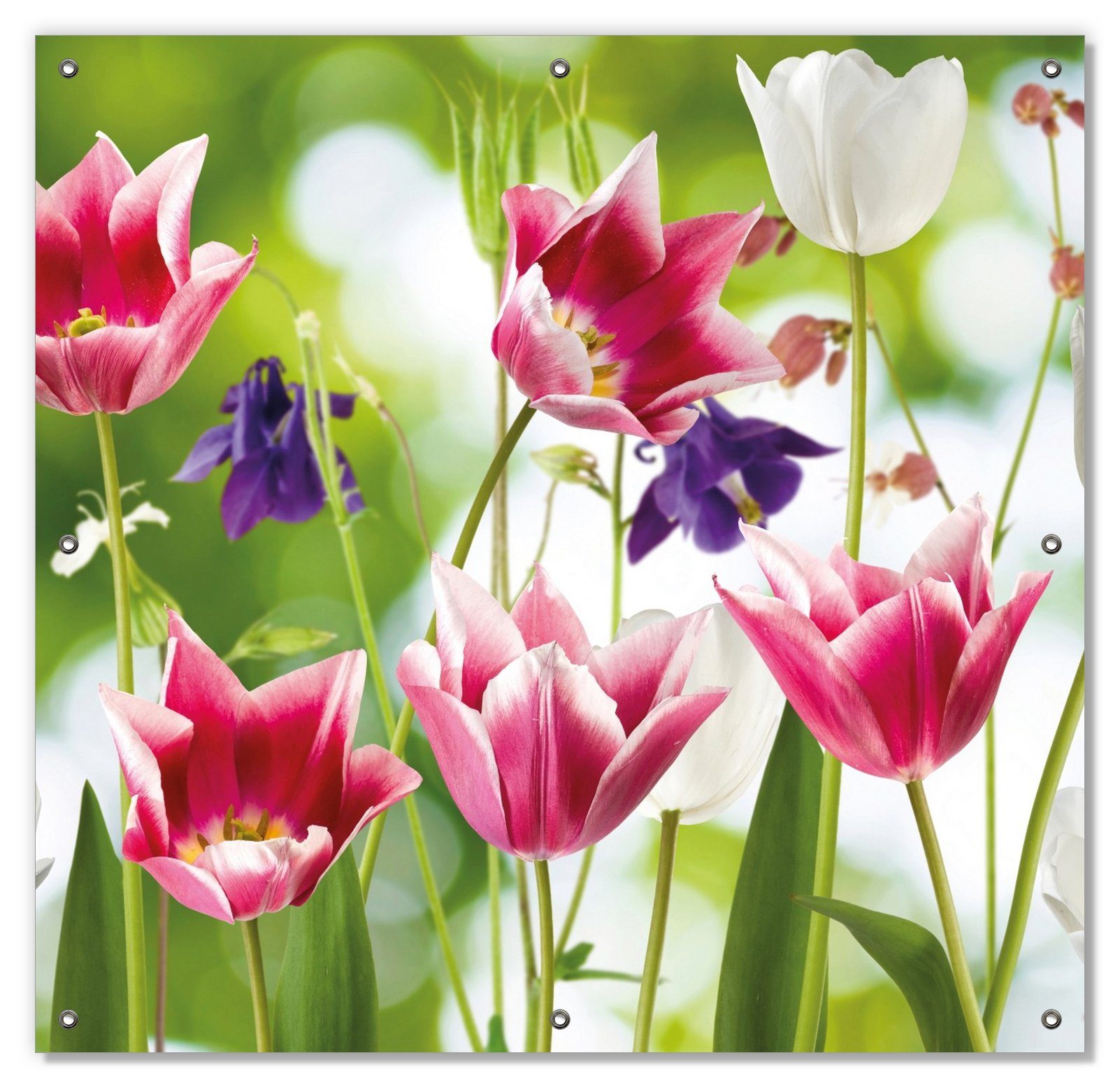 Sonnenschutz Blühende Blumen im Frühling in pink und weiß, Wallario, blickdicht, mit Saugnäpfen, wiederablösbar und wiederverwendbar