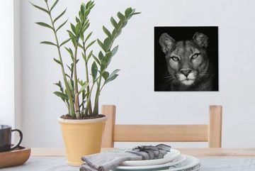 OneMillionCanvasses® Leinwandbild Porträtfoto eines Pumas auf schwarzem Hintergrund, (1 St), Leinwand Bilder für Wohnzimmer Schlafzimmer