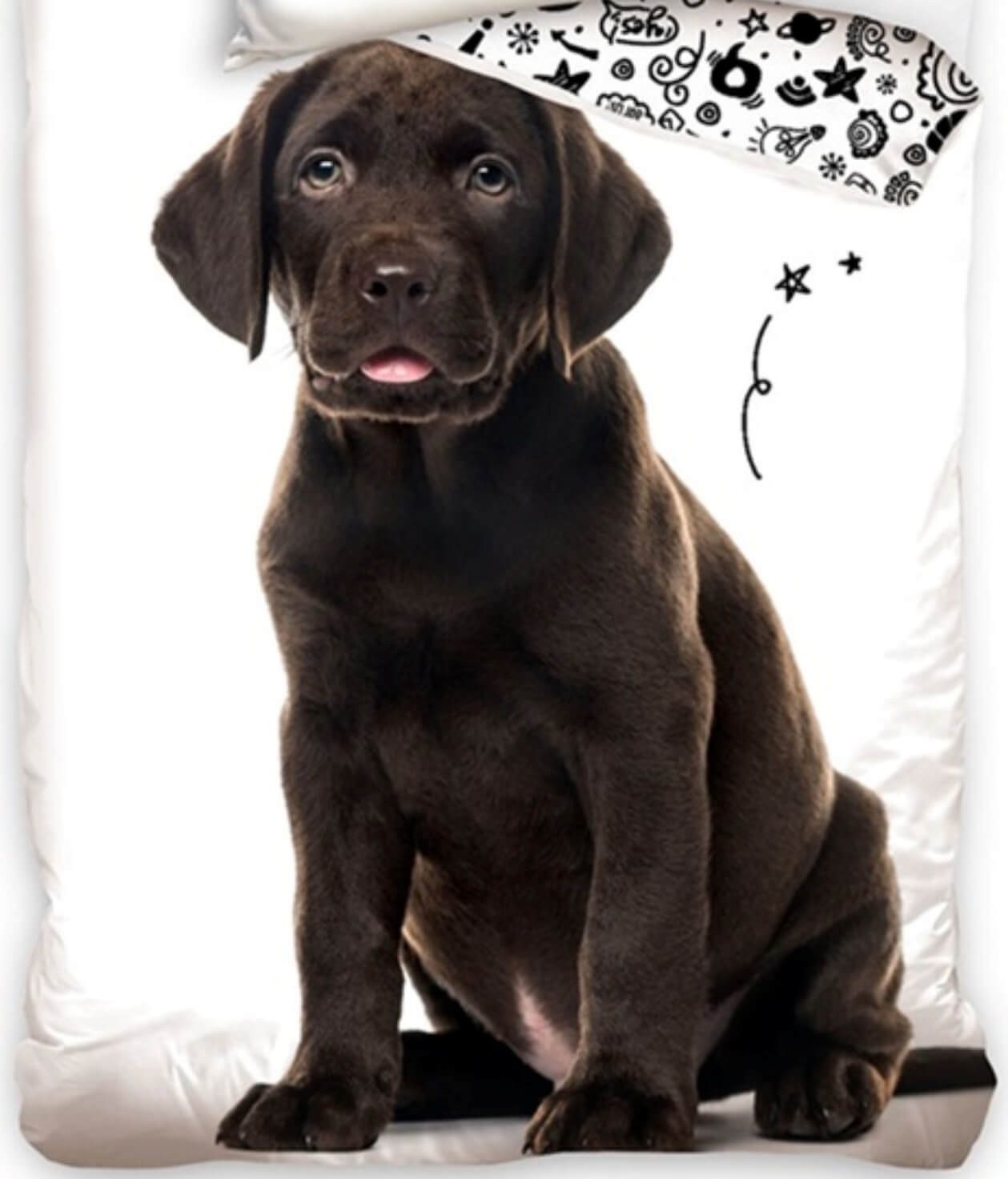 Carbotex Bettwäsche Labrador Retriever Hund - günstig online kaufen