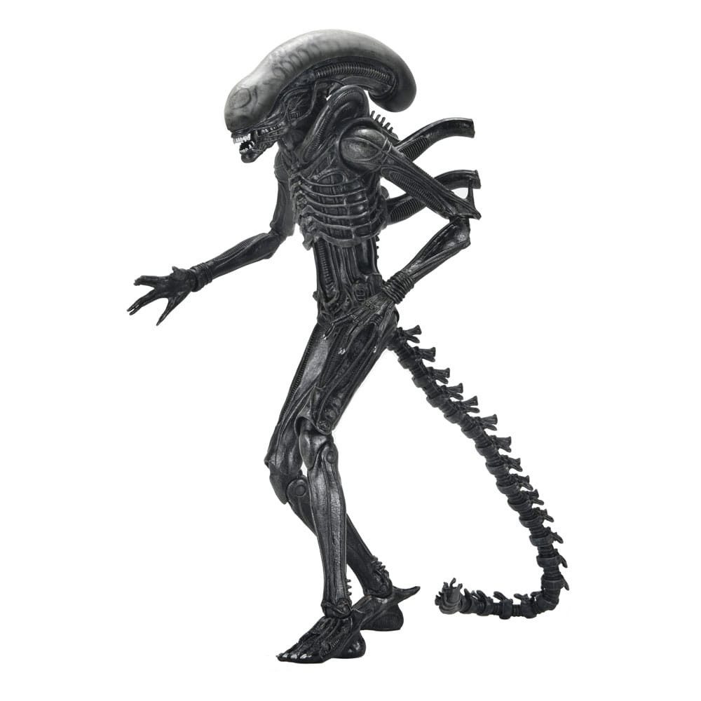 NECA Actionfigur Alien: Romulus Actionfigur Ultimate Xenomorph XX121 18 cm