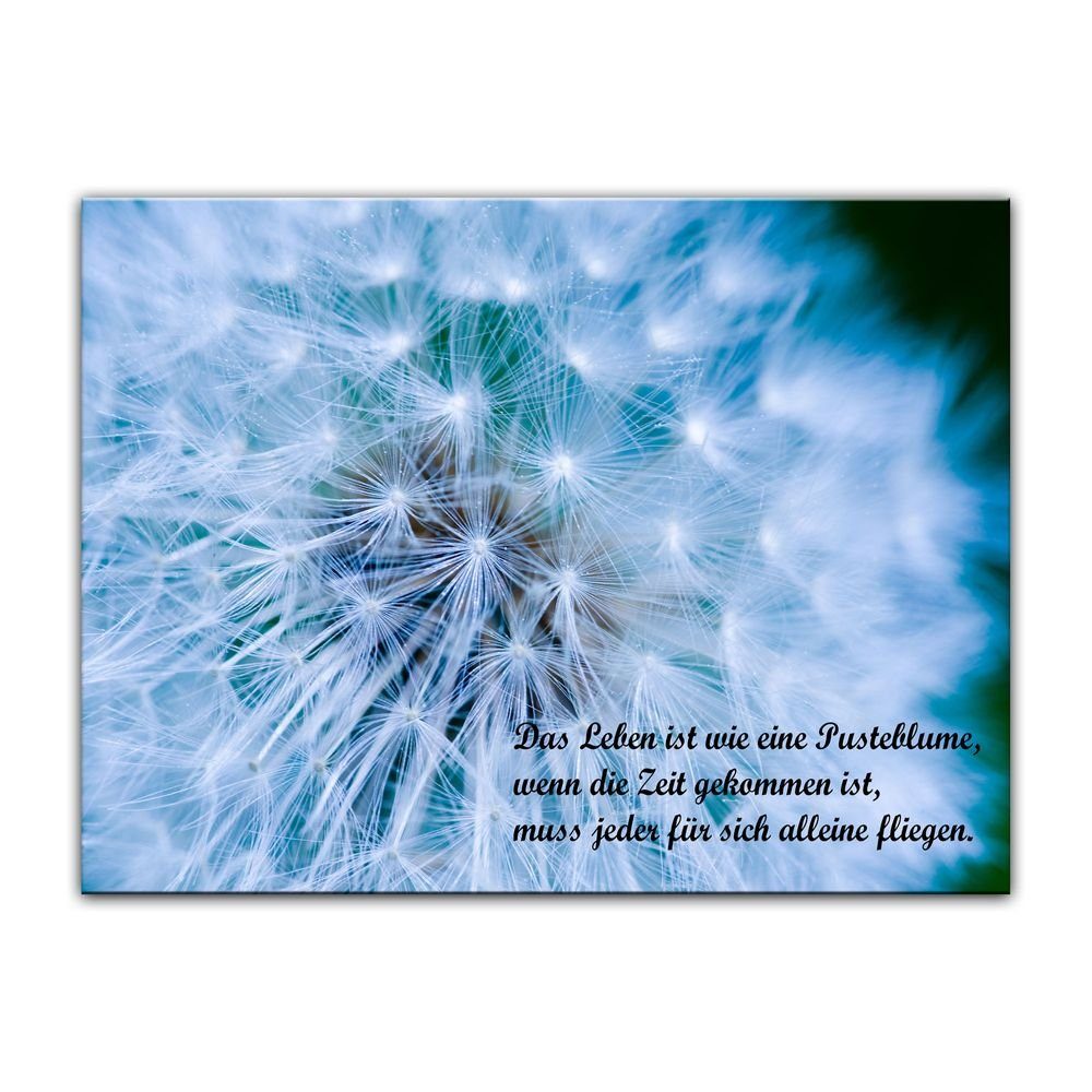 Pusteblume Sprüche Bilder online kaufen OTTO