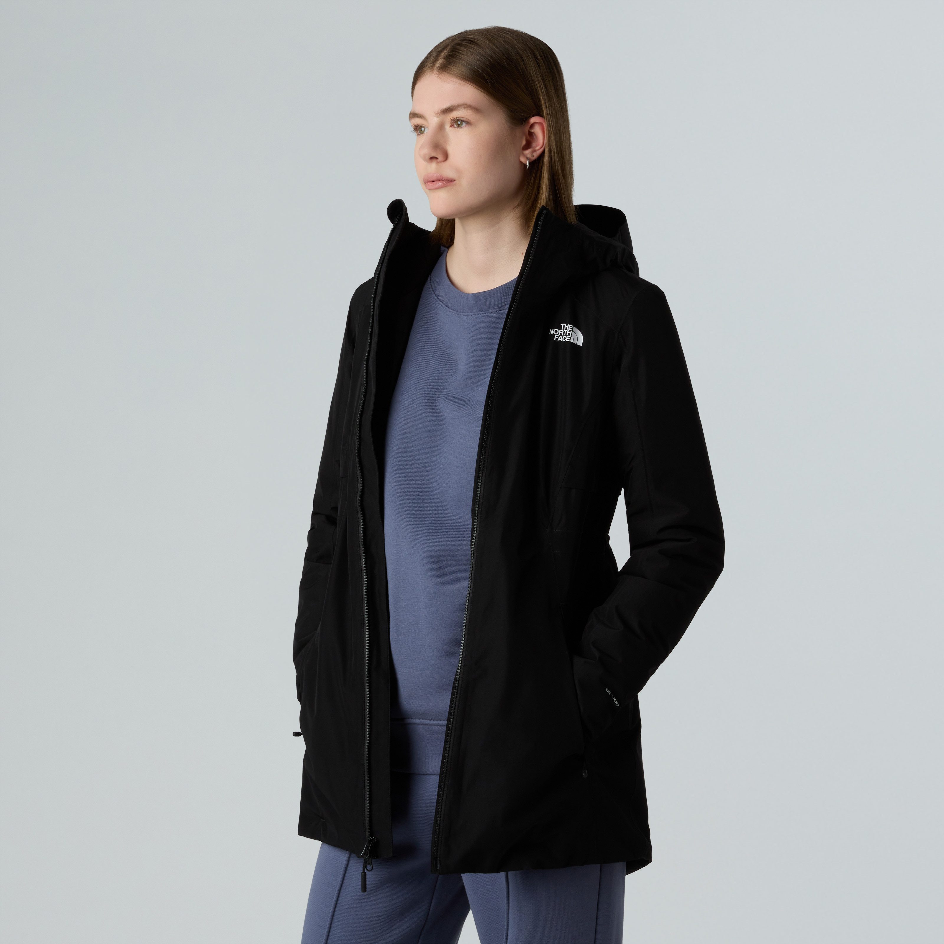 The North Face Funktionsmantel Wärmend, feminin, wetterfest – Übergangsjack günstig online kaufen