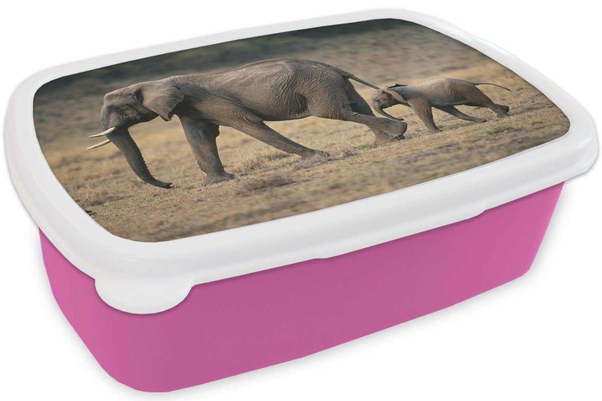 MuchoWow Lunchbox Savanne Kinder, Erwachsene, Brotdose - Elefant - Mädchen, Kunststoff für Brotbox Snackbox, Natur, (2-tlg), Tiere Kunststoff, rosa 