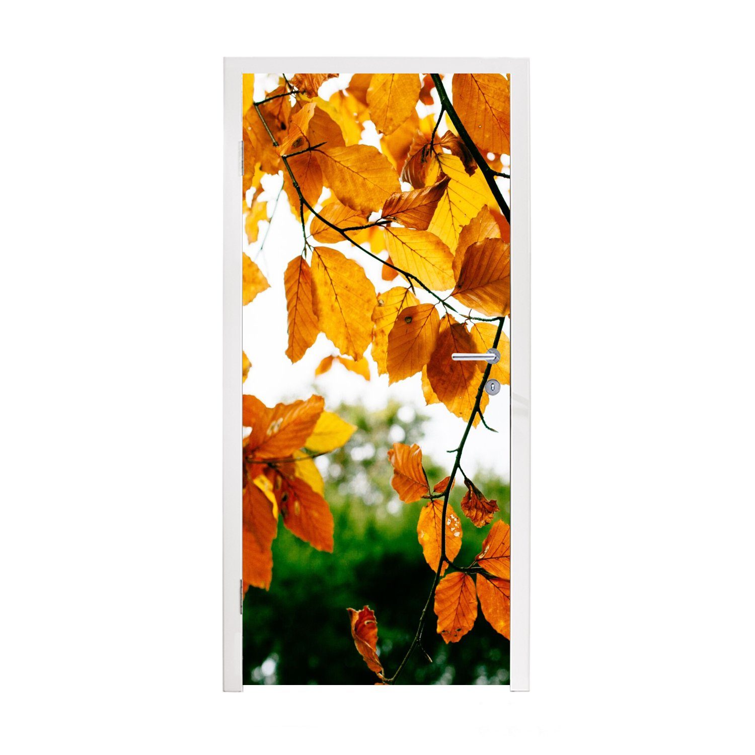 MuchoWow Türtapete Herbstblätter - Baum 75x205 Türaufkleber, Matt, bedruckt, für Rustikal, Tür, (1 Fototapete - cm St)