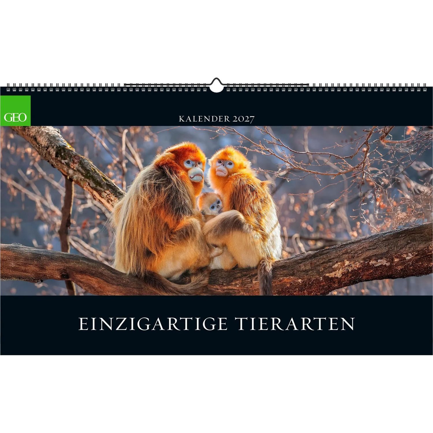 NEUMANN Wandkalender GEO Einzigartige Tierarten 2027