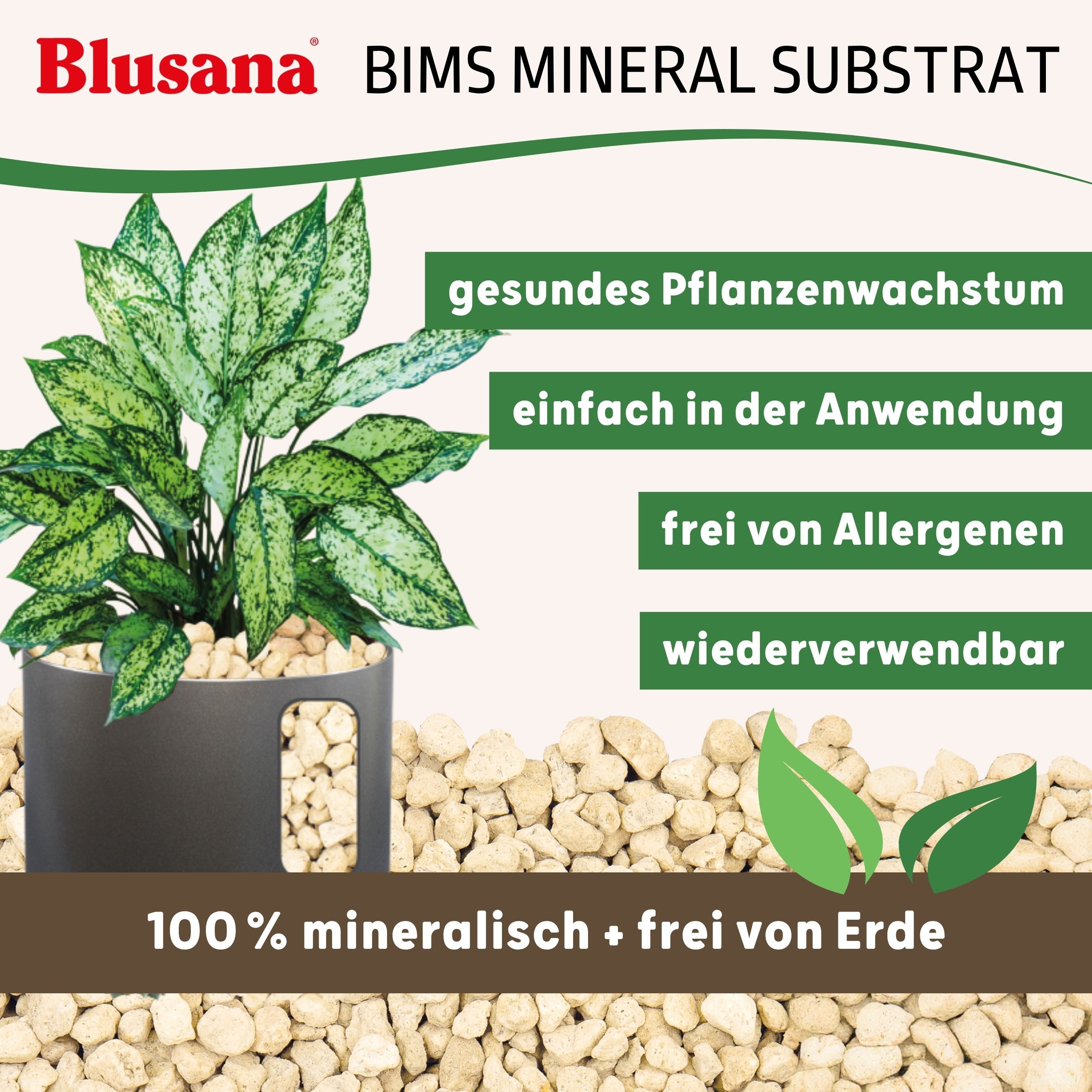 Blusana Pflanzgranulat Bimsstein Pflanzsubstrat mineralisches Bims Vulkangestein, (Substrat für Zimmerpflanzen Balkonkästen Kübel), Pflanzen Granulat Körnung 8- – Bild 4 von 5