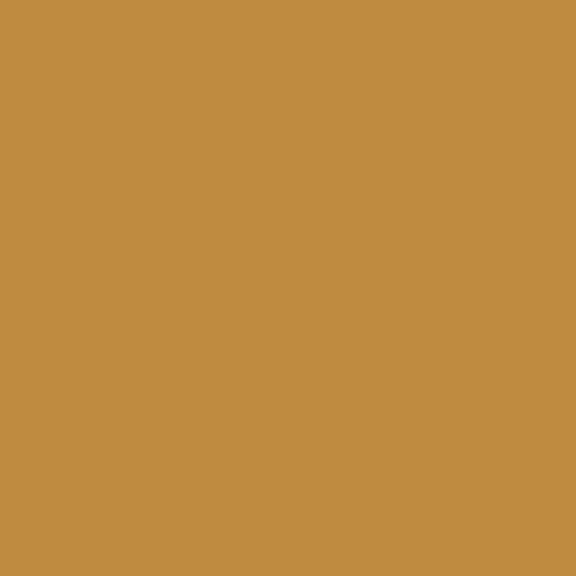Irisette Spannbettlaken Mako-Jersey Spannbetttuch Jupiter 0008 100 x 200 cm gold, Baumwolle, Gummizug: Rundum, (1 Stück), Spannbettlaken Spannbettuch Bettlaken Spanner