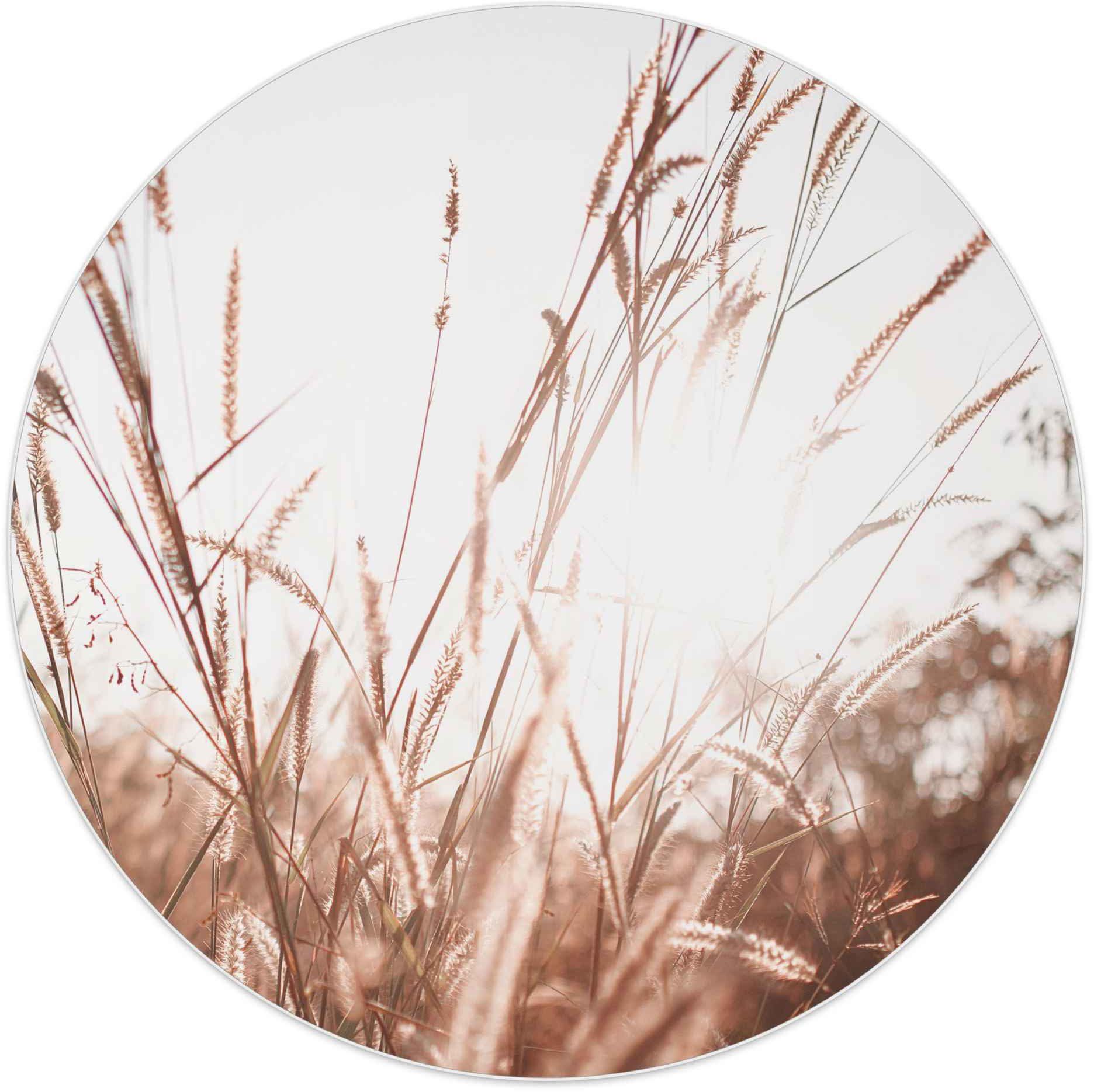 Reinders! Wandbild cm 50 mit von Sommer Sonne, Durchmesser Pflanzen Natur St), - Wandbild (1 Jahreszeiten - einem