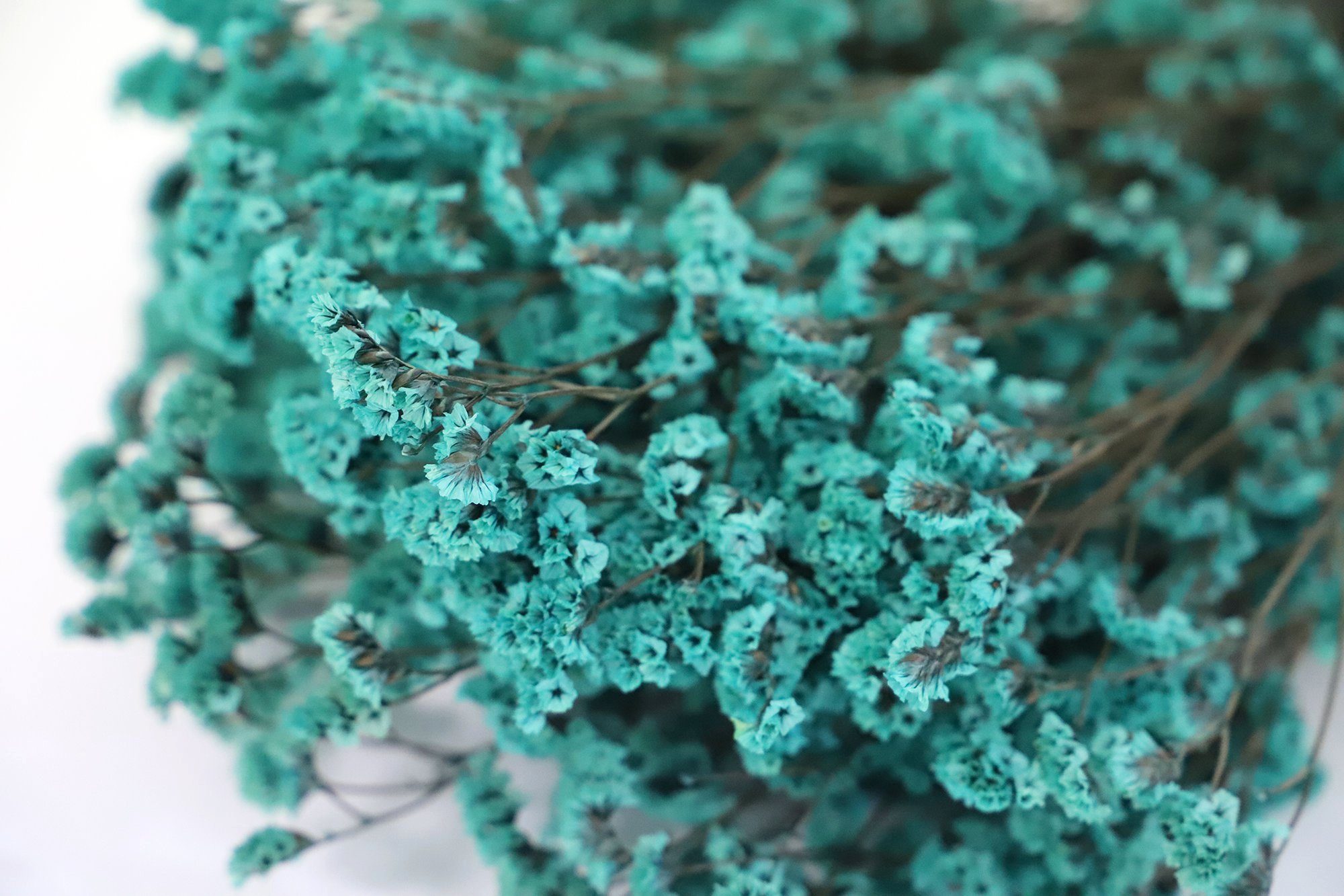 Trockenblume Crystal Grass Getrocknet - Blau, Kunstharz.Art