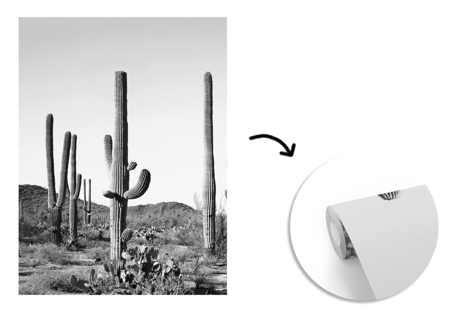 Schwarz weiß - Landschaft, Fototapete - (4 Wandtapete für und Vinyl Natur Wohnzimmer, bedruckt, Kakteen St), Matt, MuchoWow - Montagefertig Tapete