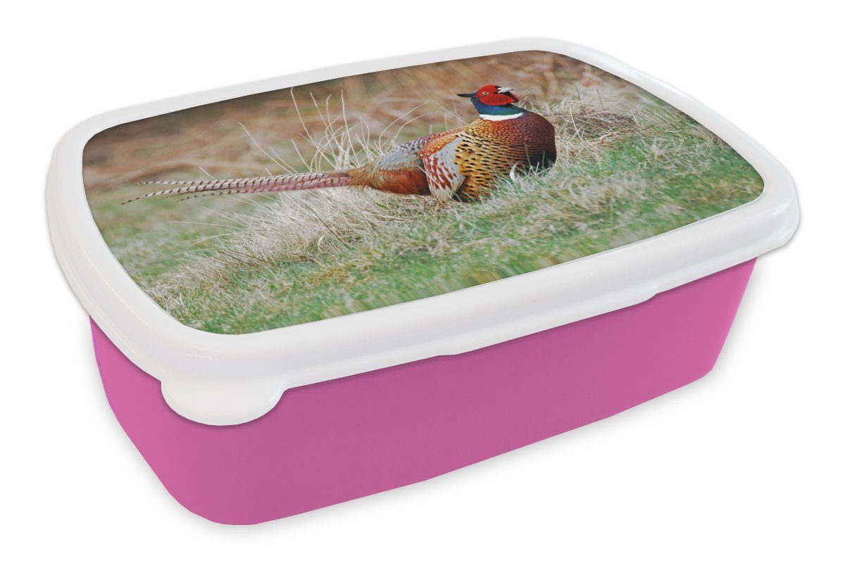 MuchoWow Lunchbox Fasan - Gras - Winter, Kunststoff, (2-tlg), Brotbox für Erwachsene, Brotdose Kinder, Snackbox, Mädchen, Kunststoff rosa