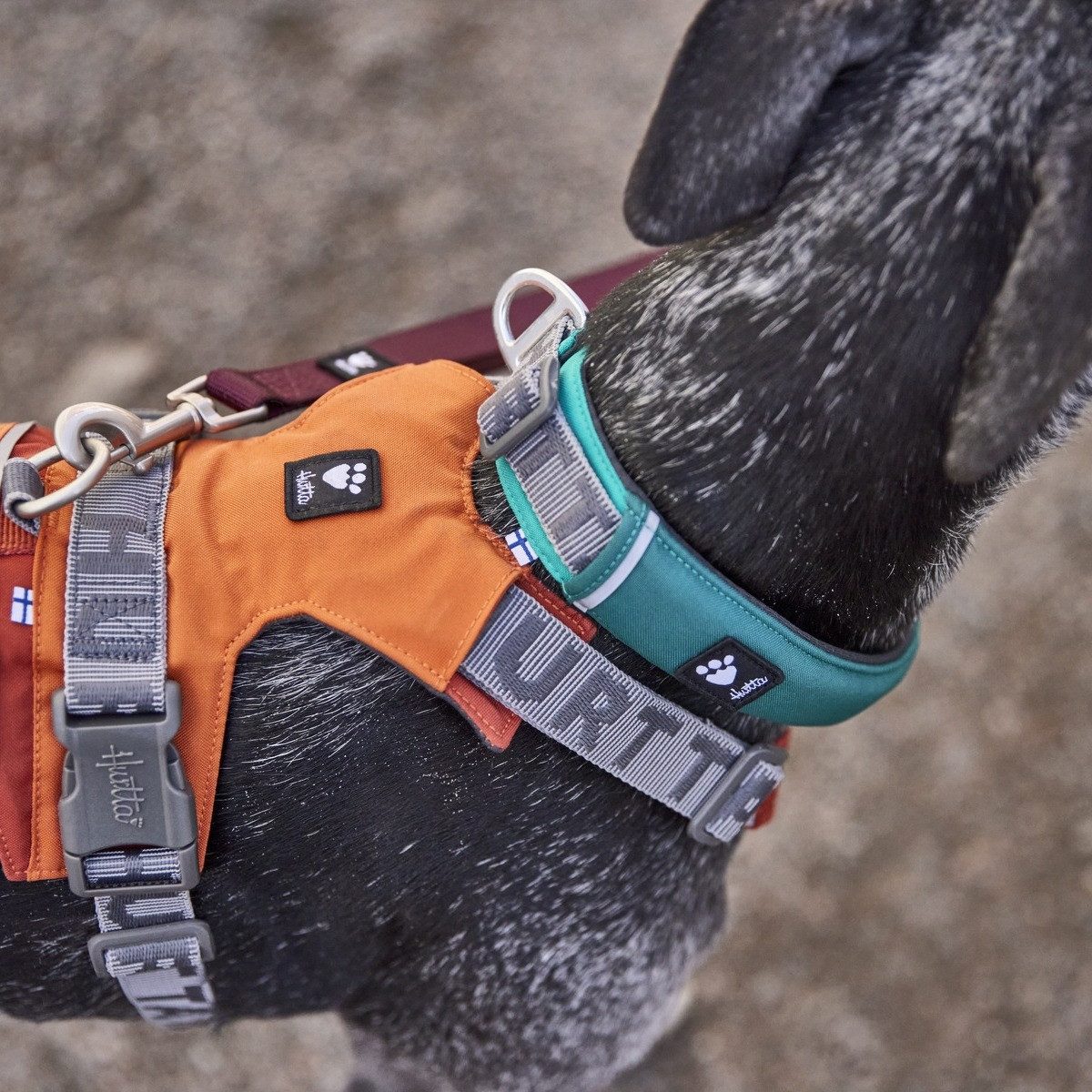 HURTTA Hunde-Halsband Hundehalsband Rover Collar peacock