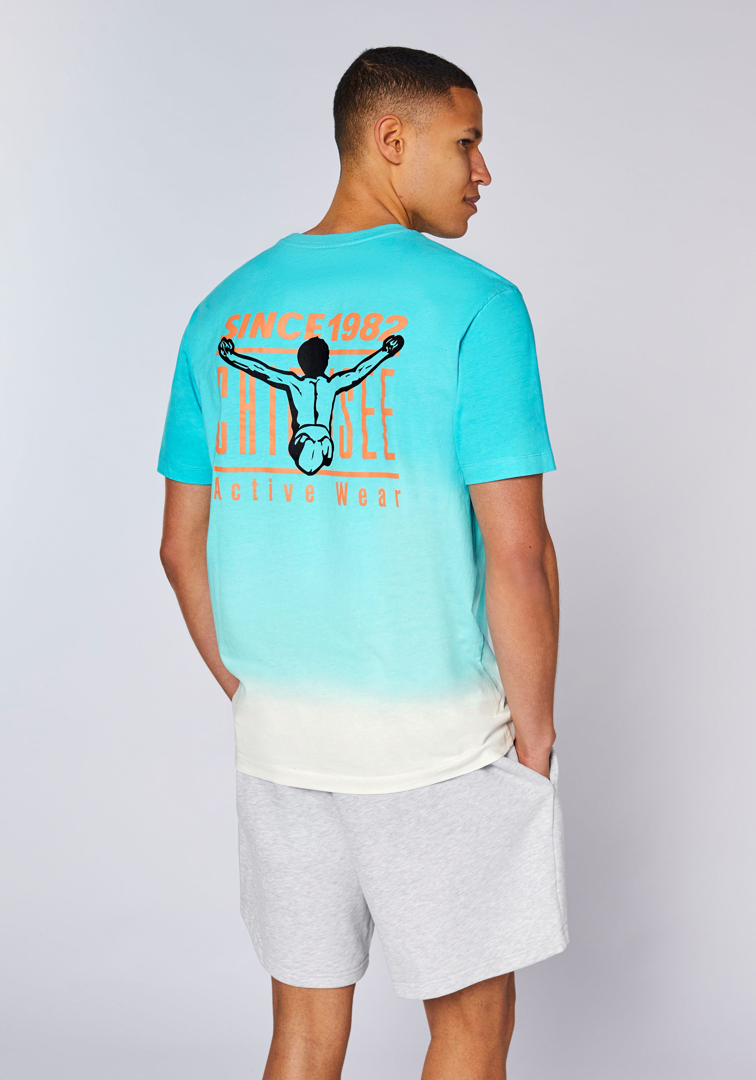 Chiemsee T-Shirt günstig online kaufen