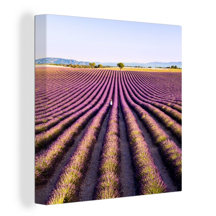 OneMillionCanvasses® Leinwandbild Lavendelfelder in der Provence in Frankreich (1 St) Leinwandbild fertig bespannt inkl. Zackenaufhänger Gemälde