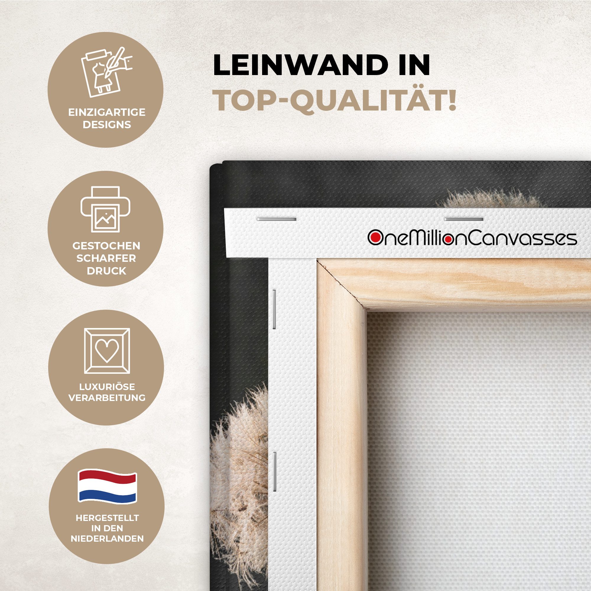 OneMillionCanvasses® Leinwandbild Blumensamen - Löwenzahn - Vase - Stilleben - Blumenstrauß, Fotodruck (1 St), Leinwand Canvas Wandbild, Wanddekoration 20x30 cm