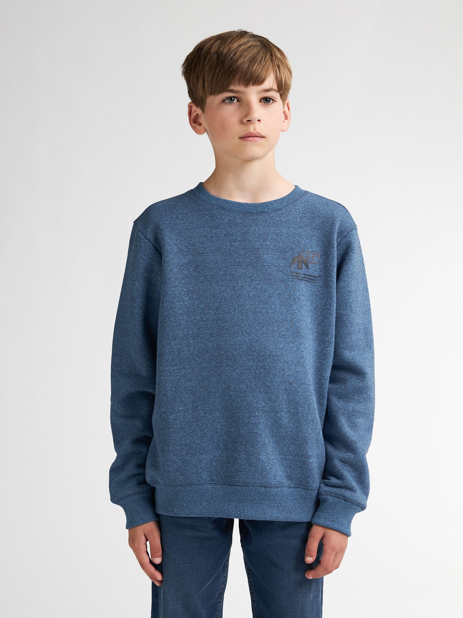 Petrol Industries Sweatshirt Cumberland