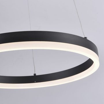 Paul Neuhaus LED Pendelleuchte LED Pendelleuchte Titus in Anthrazit 400 mm, keine Angabe, Leuchtmittel enthalten: Ja, fest verbaut, LED, warmweiss, Hängeleuchte, Pendellampe, Pendelleuchte