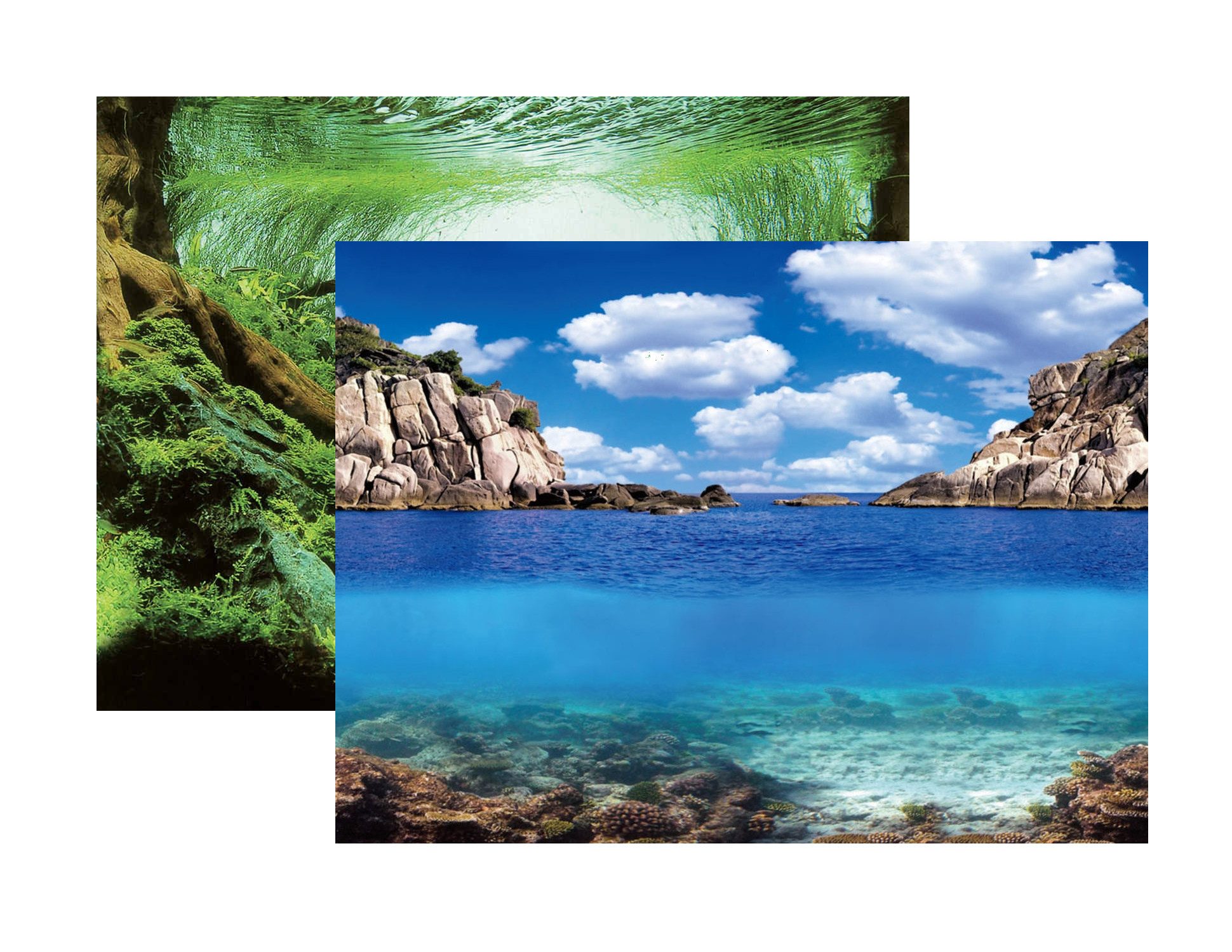 AQUA NOVA Aquarienrückwand Aquarium Rückwandfolie 2in1 doppelseitig, 60x30 / 100x50 / 150x60 cm, Beidseitig Rückwandfolie, Realistische 3D-Optik
