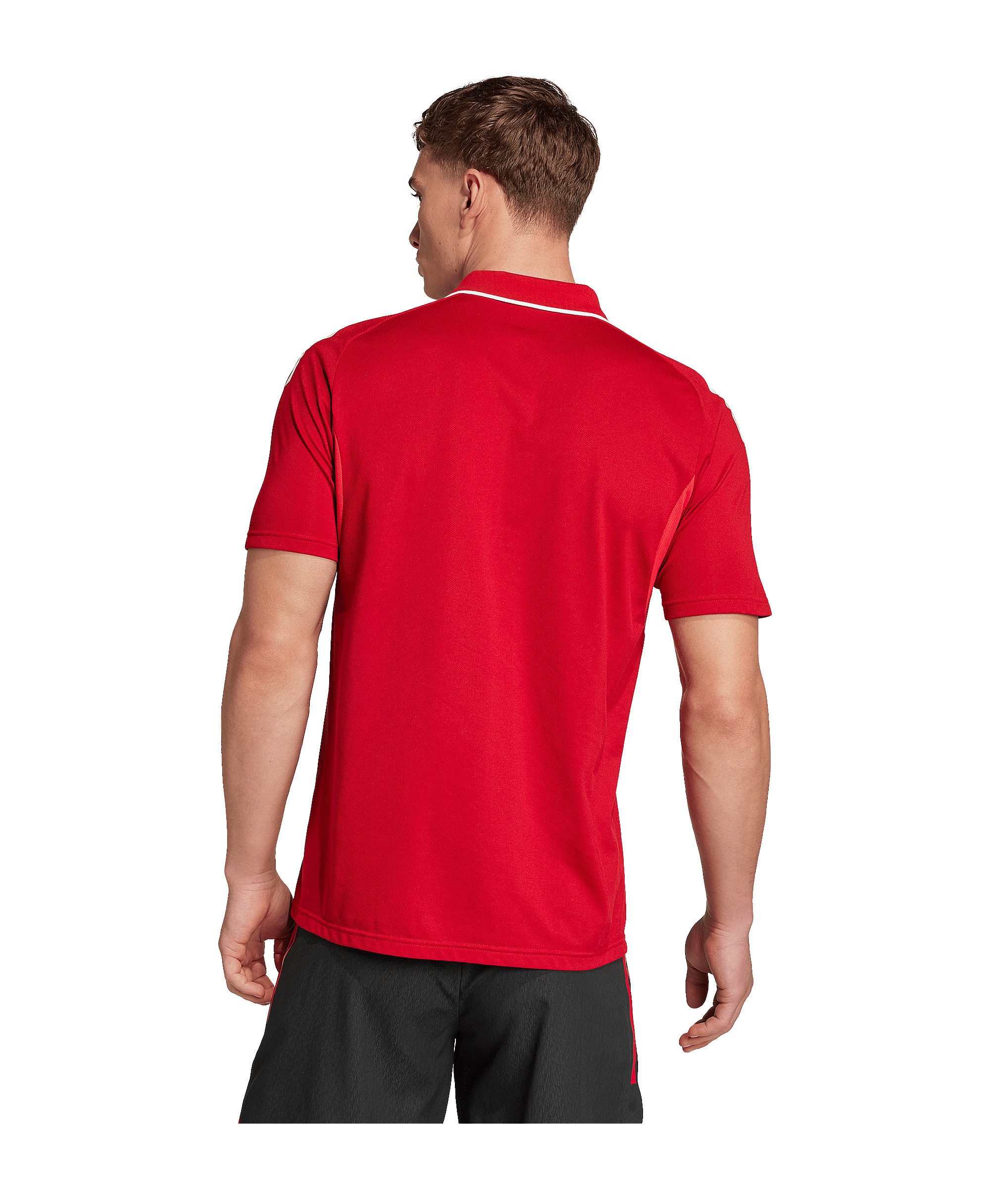 adidas Performance T-Shirt adidas Performance Tiro günstig online kaufen