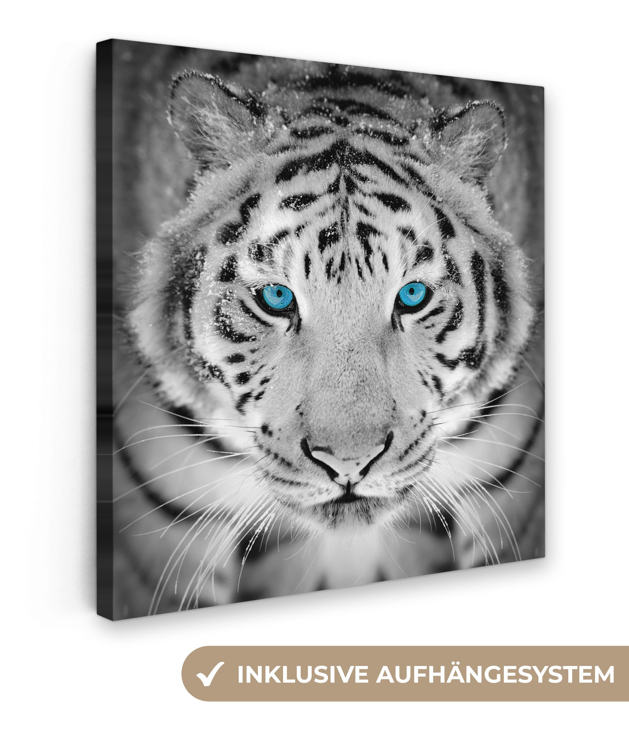 OneMillionCanvasses® Leinwandbild Tiere - Tiger - günstig online kaufen