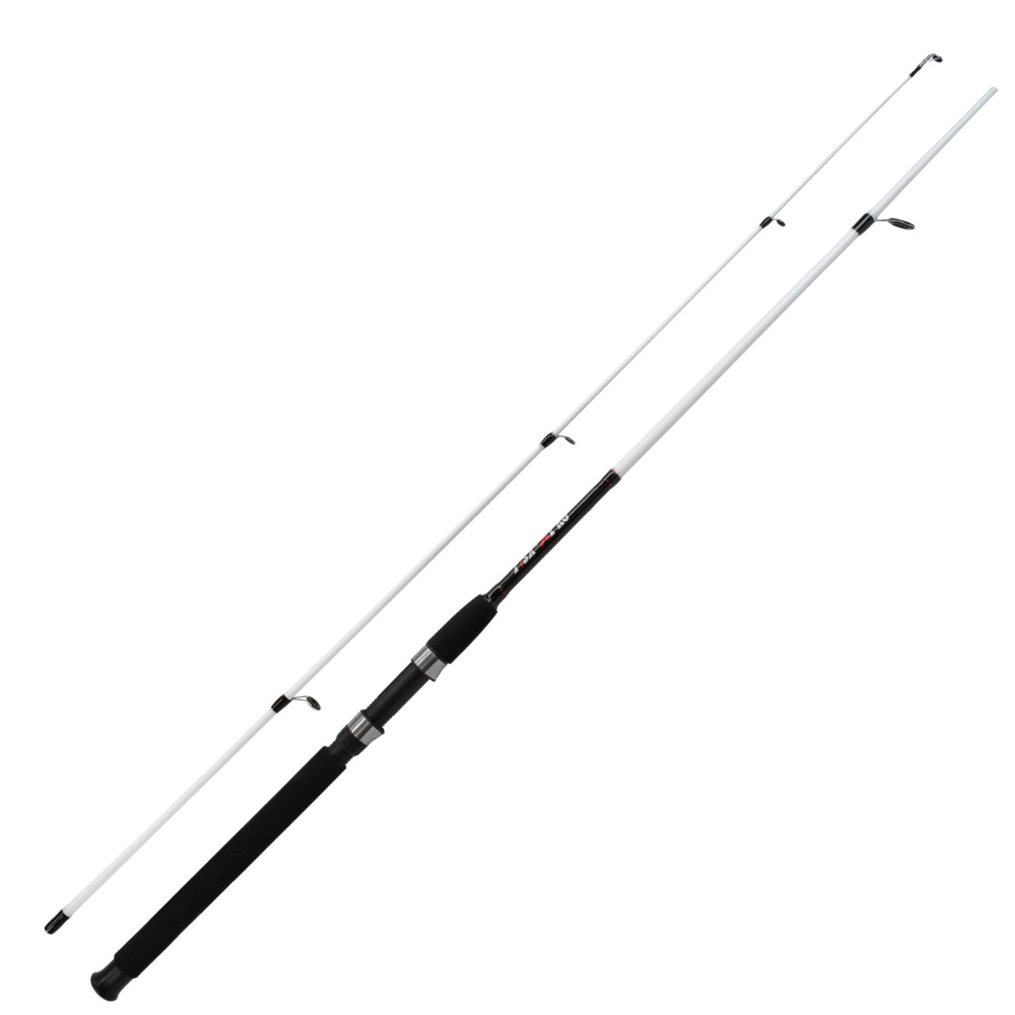 Fish-XPro Spinnrute Spin Pro - Spinnangel Set - Wurfgewicht bis 30 g, (Set, 1-tlg)