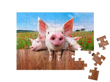 puzzleYOU Puzzle Junge Schweine auf dem Bauernhof, 48 Puzzleteile, puzzleYOU-Kollektionen Bauernhof-Tiere, Schweine & Ferkel