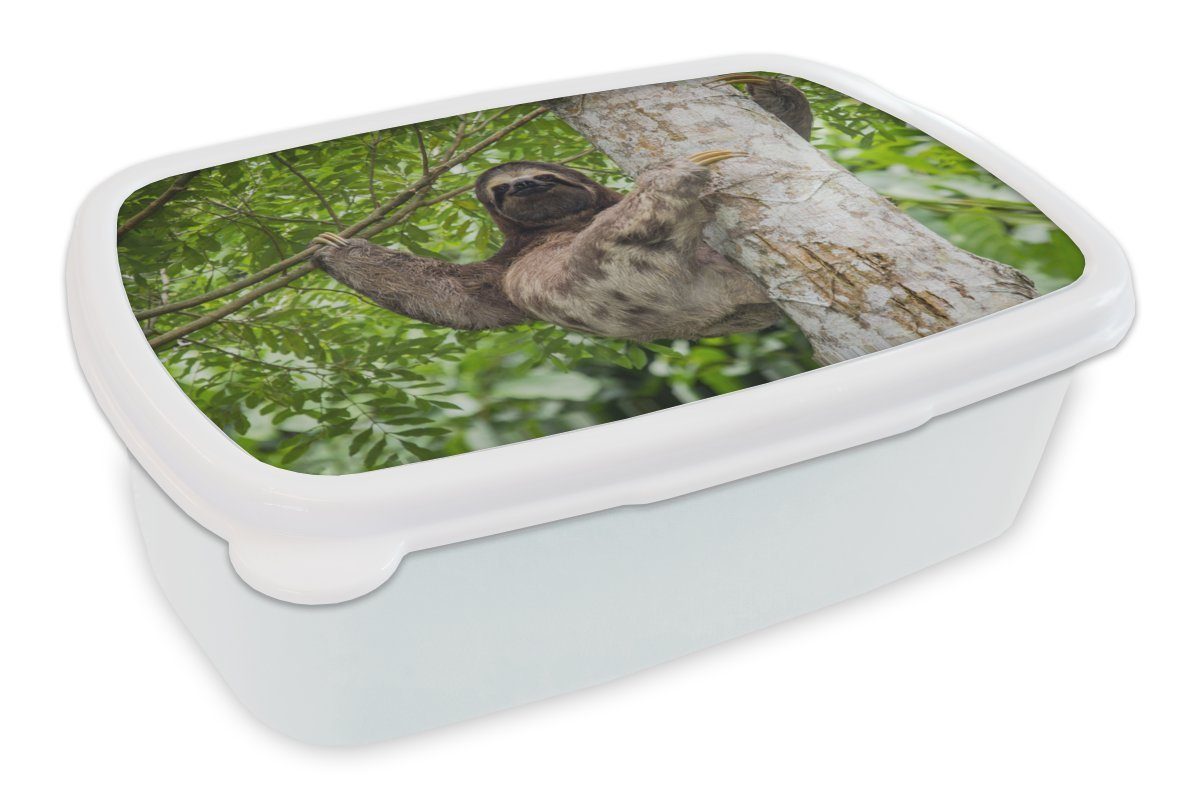MuchoWow Lunchbox Ein Faultier klettert auf einen Baum in grüner Umgebung, Kunststoff, (2-tlg), Brotbox für Kinder und Erwachsene, Brotdose, für Jungs und Mädchen weiß