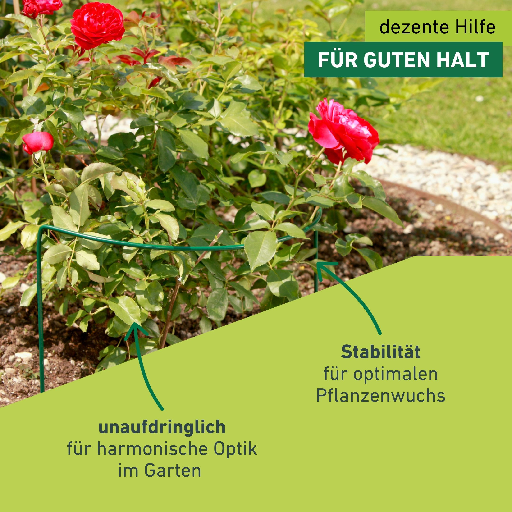 Windhager Rankhilfe für optimalen Pflanzenwuchs, Staudenstütze, 1 St., Pflanzstab erhältlich in unterschiedlichen Größen