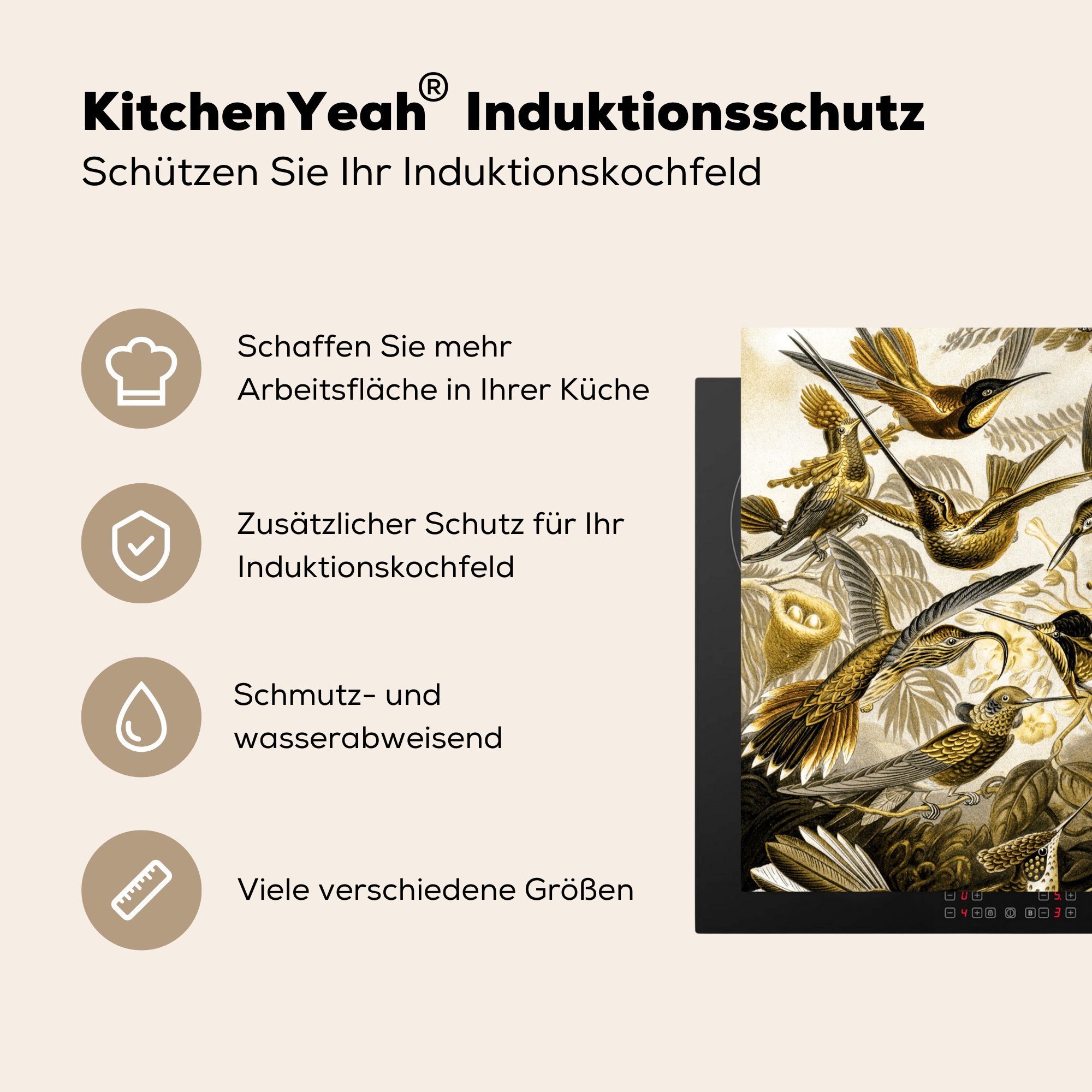 78x78 Arbeitsplatte küche tlg), Ernst Ceranfeldabdeckung, cm, Vinyl, Trochilidae Gold, Herdblende-/Abdeckplatte (1 MuchoWow Haeckel - für -