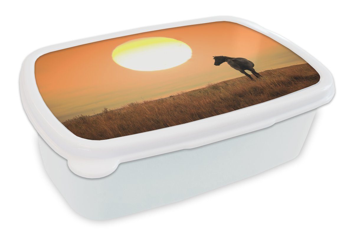 MuchoWow Lunchbox Wildpferd auf der Wiese, Kunststoff, (2-tlg), Brotbox für Kinder und Erwachsene, Brotdose, für Jungs und Mädchen weiß