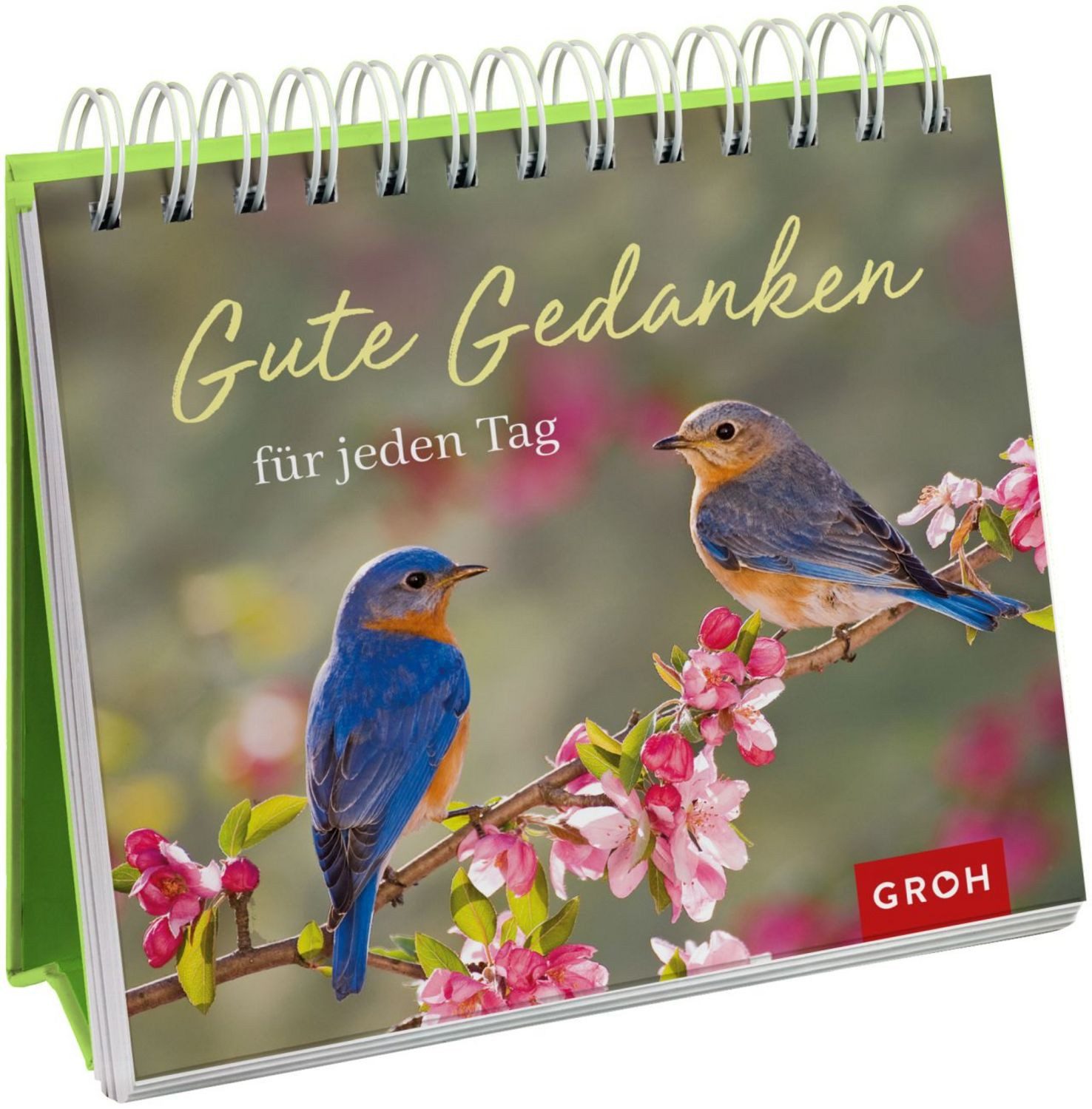 Gute Gedanken für jeden Tag / diverse