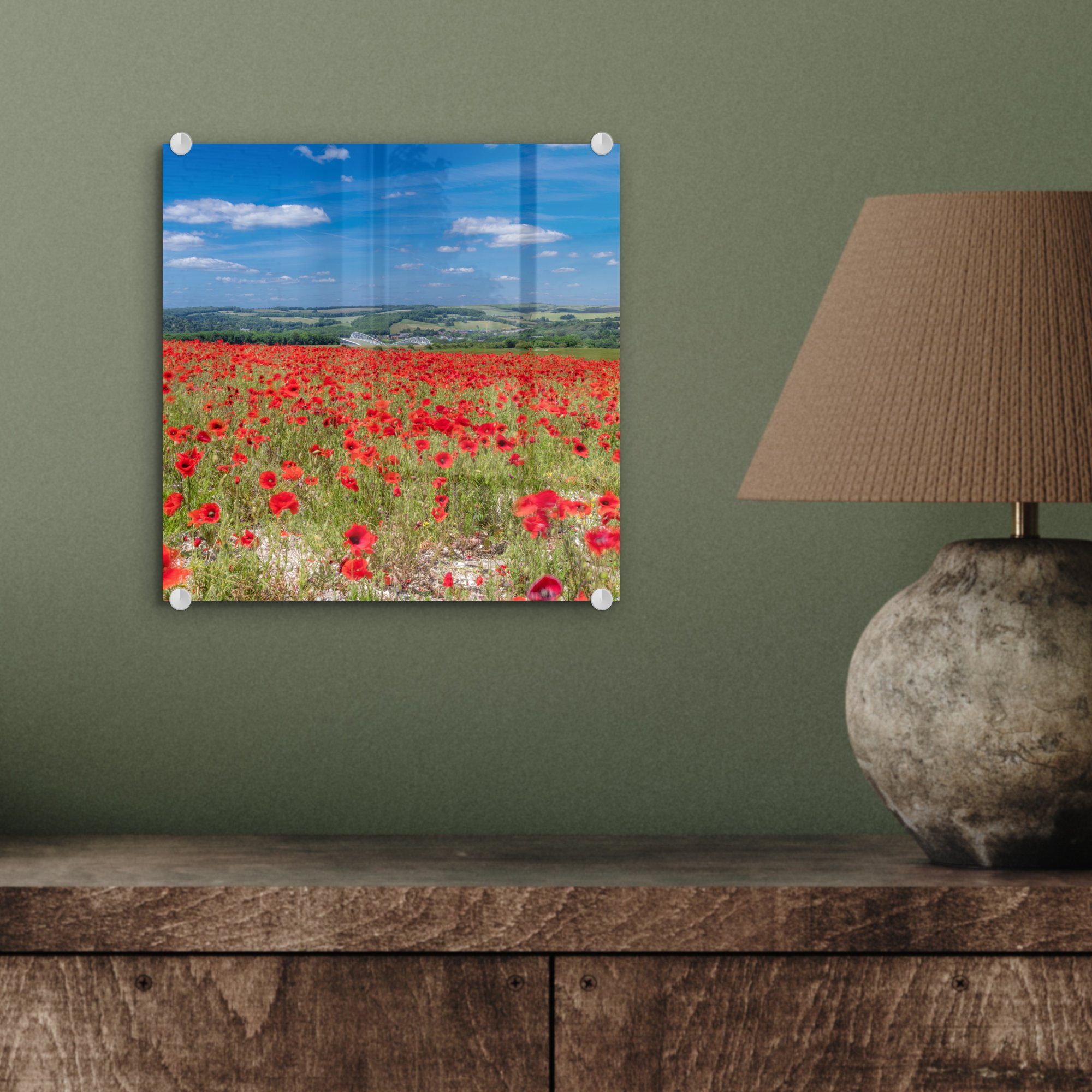 im Wandbild Park, MuchoWow - Acrylglasbild Wanddekoration Mohnblumen Rote Downs South auf - englischen Foto Bilder Glas (1 auf National - Glas St), Glasbilder