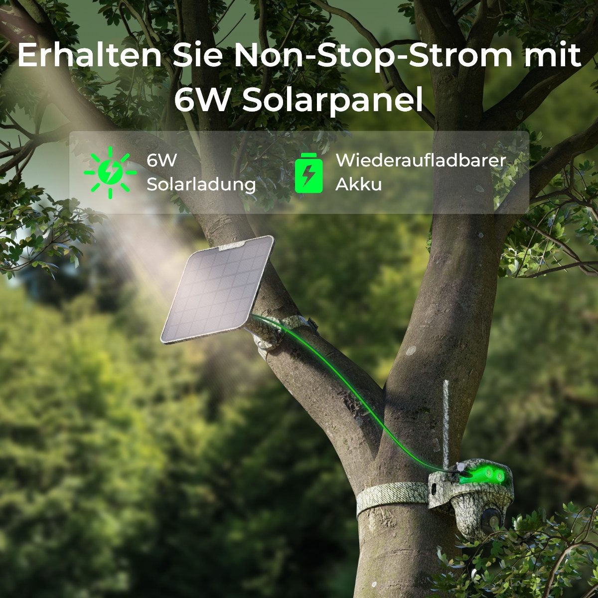 Reolink Wildkamera Go Ranger PT 8MP 4G LTE Akku/Solarbetrieben (Außenbereich, 1-tlg., No-Glow Nachtsicht,Tiererkennung,Bewegungsmelder, 355°/90° Schwenk) – Bild 4 von 5