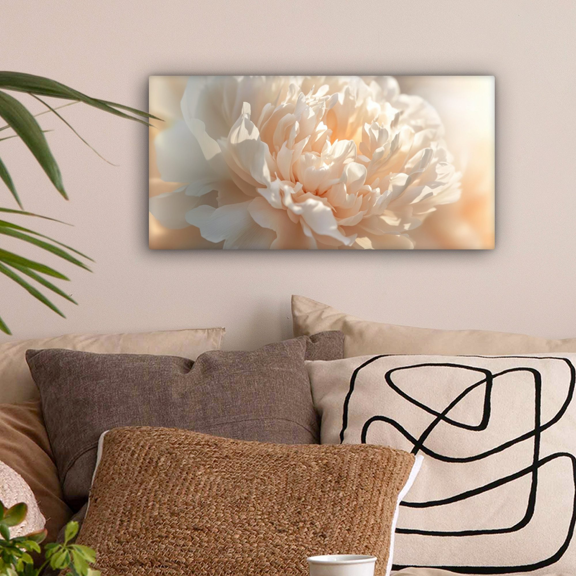 OneMillionCanvasses® Leinwandbild Panorama Nahaufnahme - Pfingstrose günstig online kaufen