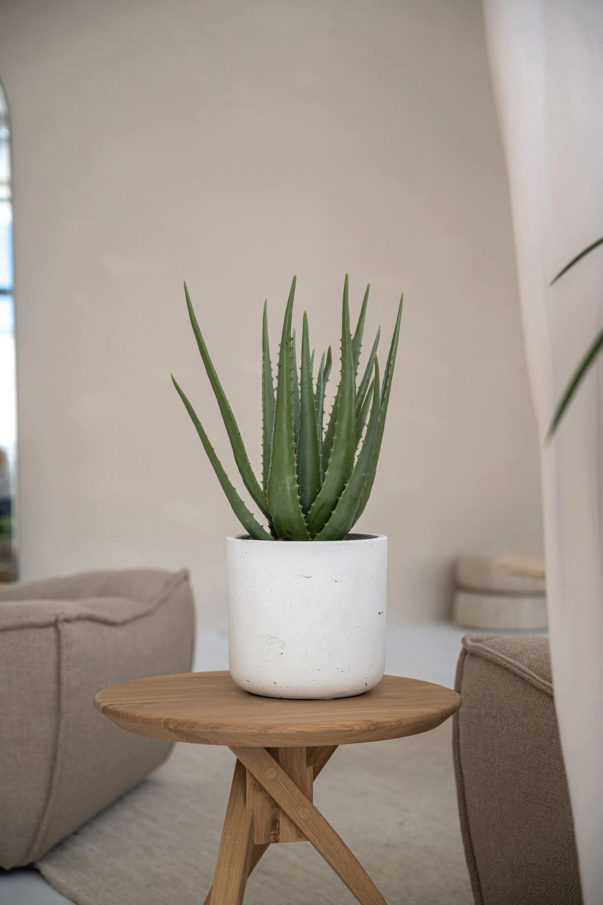 finestgreen Pflanzkübel Handgefertigtes Pflanzgefäß Charlie günstig online kaufen