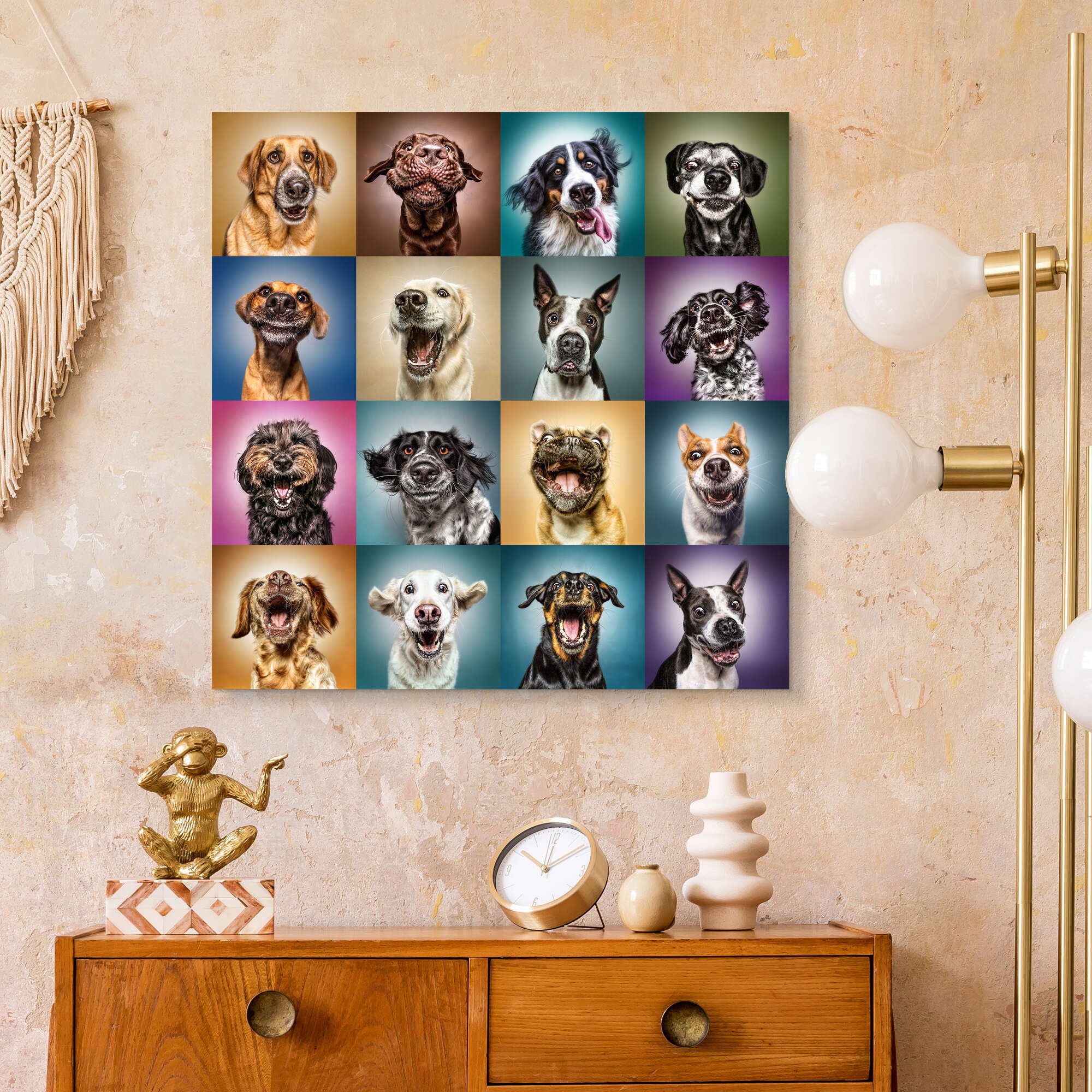 Posterlounge Forex-Bild Manuela Kulpa, Lustige Hundegesichter