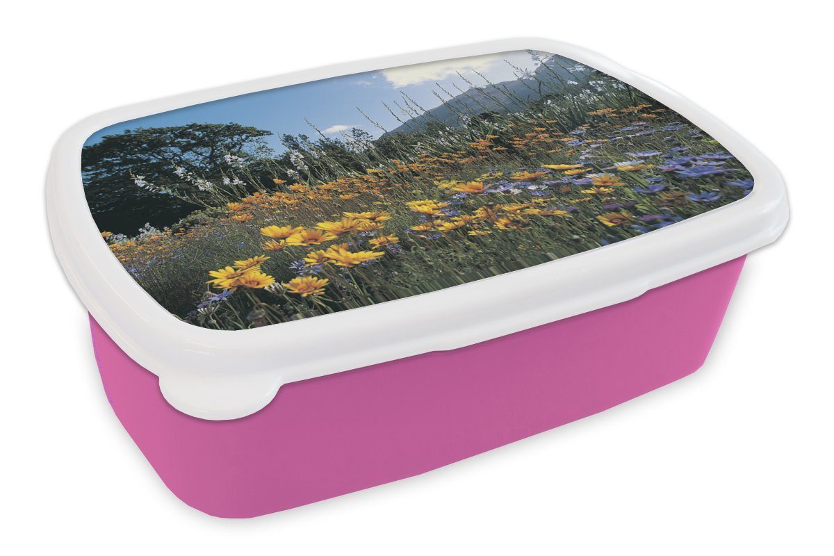 MuchoWow Lunchbox Blumen - Natur - Farbe, Kunststoff, (2-tlg), Brotbox für Erwachsene, Brotdose Kinder, Snackbox, Mädchen, Kunststoff rosa