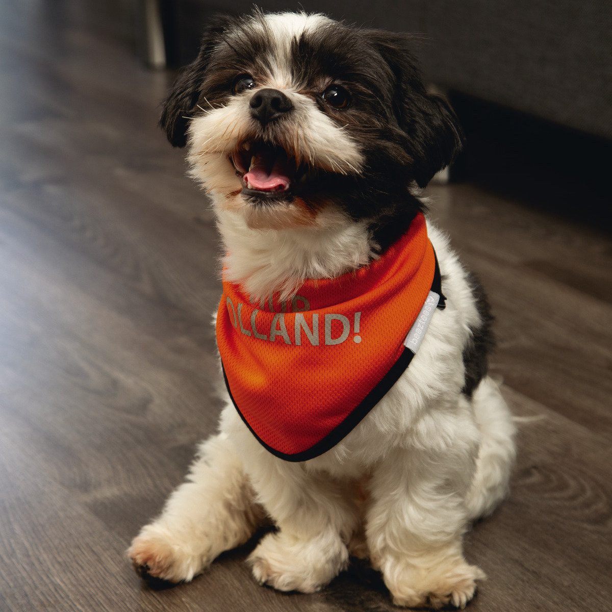 Beeztees Tier-Halstuch Hundehalstuch Hup Holland