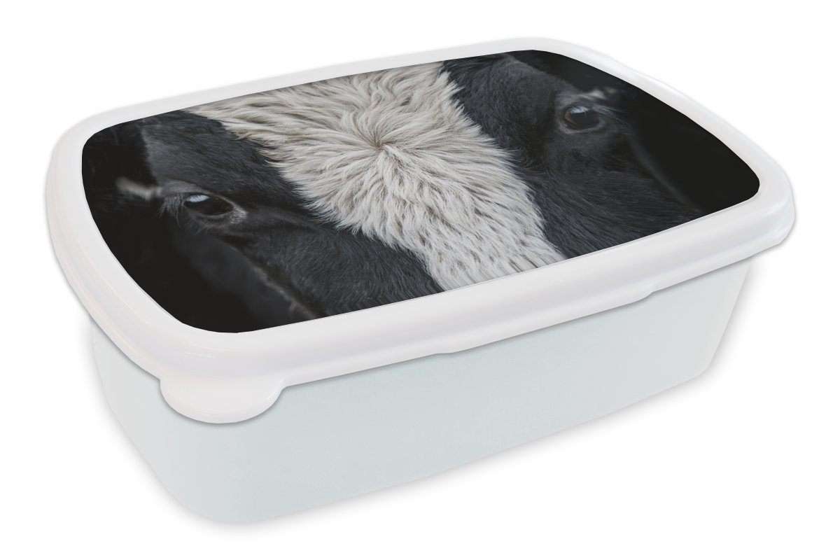 MuchoWow Lunchbox Kuh - Auge - Schwarz - Weiß, Kunststoff, (2-tlg), Brotbox für Kinder und Erwachsene, Brotdose, für Jungs und Mädchen