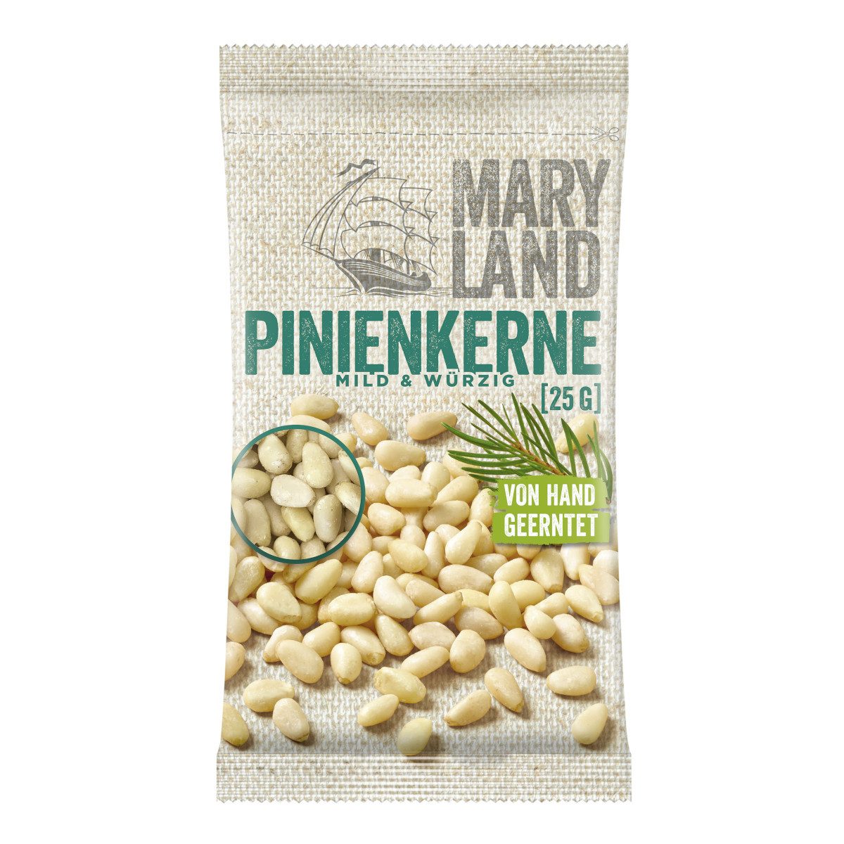 Maryland Nüsse, Maryland Pinienkerne mild und fein würzig von Hand geerntet 25g