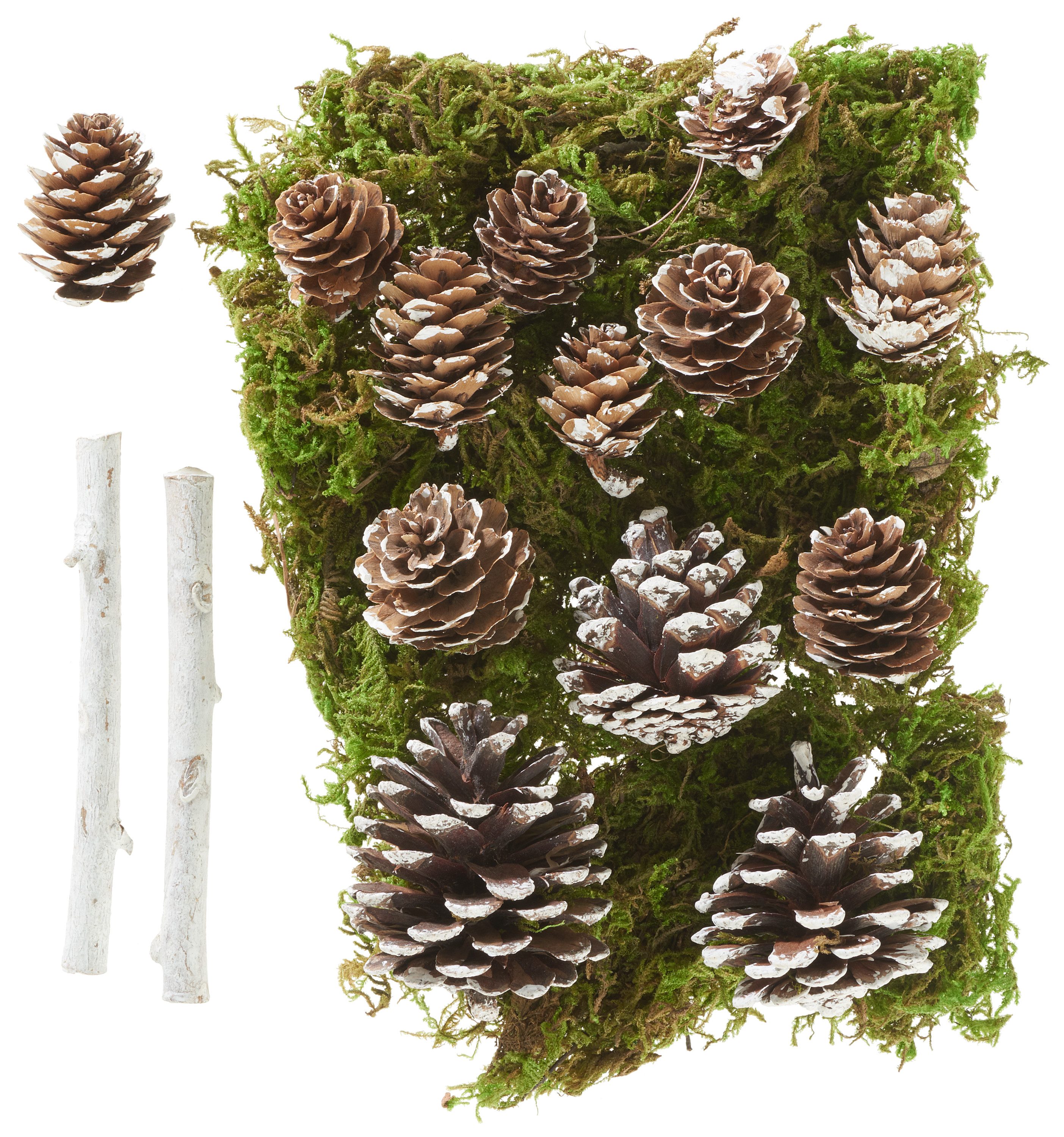 VBS Bastelnaturmaterial Wald-Potpourri-Mix, 2-10,5cm, 16 Stück