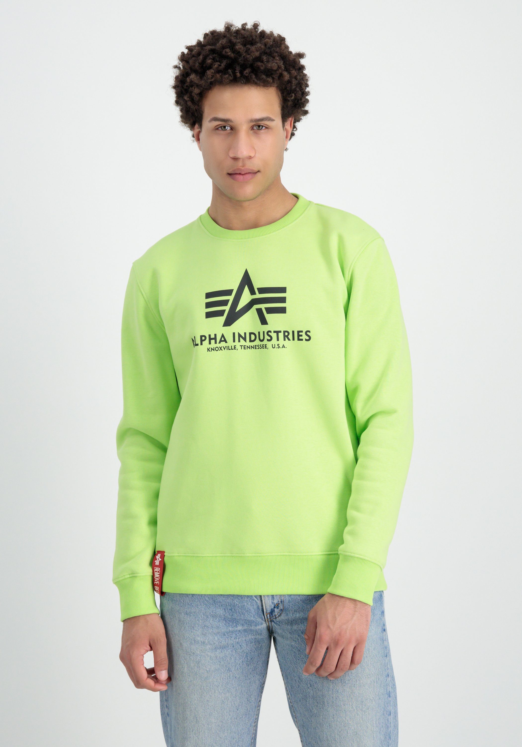 Basic Sweater Sweatshirts Men green - Alpha Industries hornet Industries Sweater Alpha