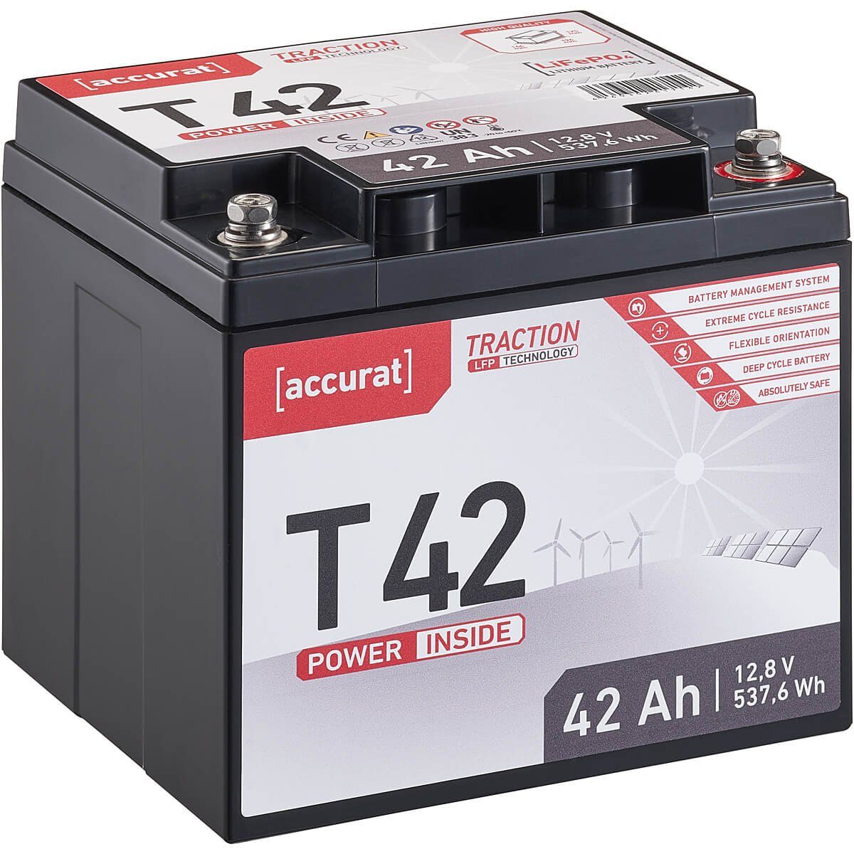 accurat 12V 42Ah LiFePO4 Lithium Batterie 537 Wh BMS Akku Batterie, (12 V V)