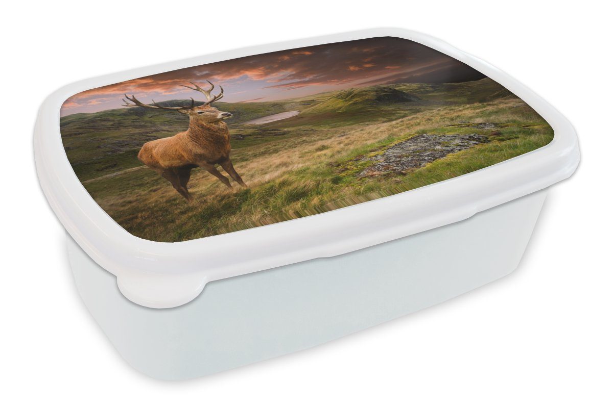 (2-tlg), für Jungs Brotbox Kunststoff, - Berge MuchoWow Brotdose, Mädchen und Kinder - Lunchbox und weiß Hirsche Natur, für Erwachsene,