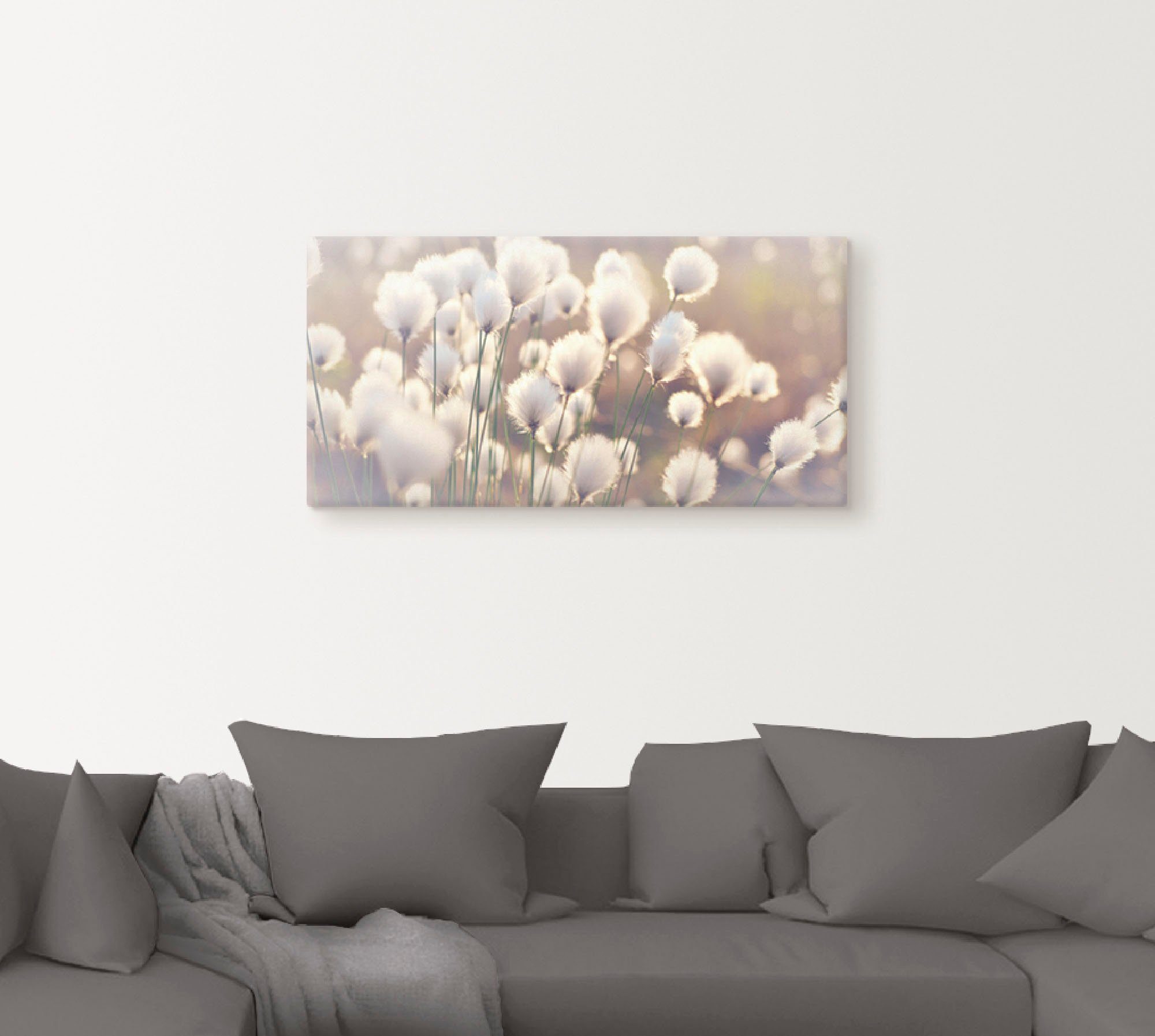 Artland Wandbild "Wollgraszauber im Moor", Gräser, (1 St.), als Alubild, Ou günstig online kaufen