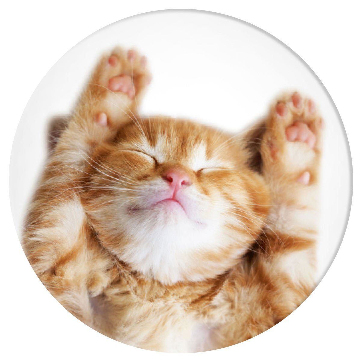 Popsockets PopGrip Basic - Snoozy Cat